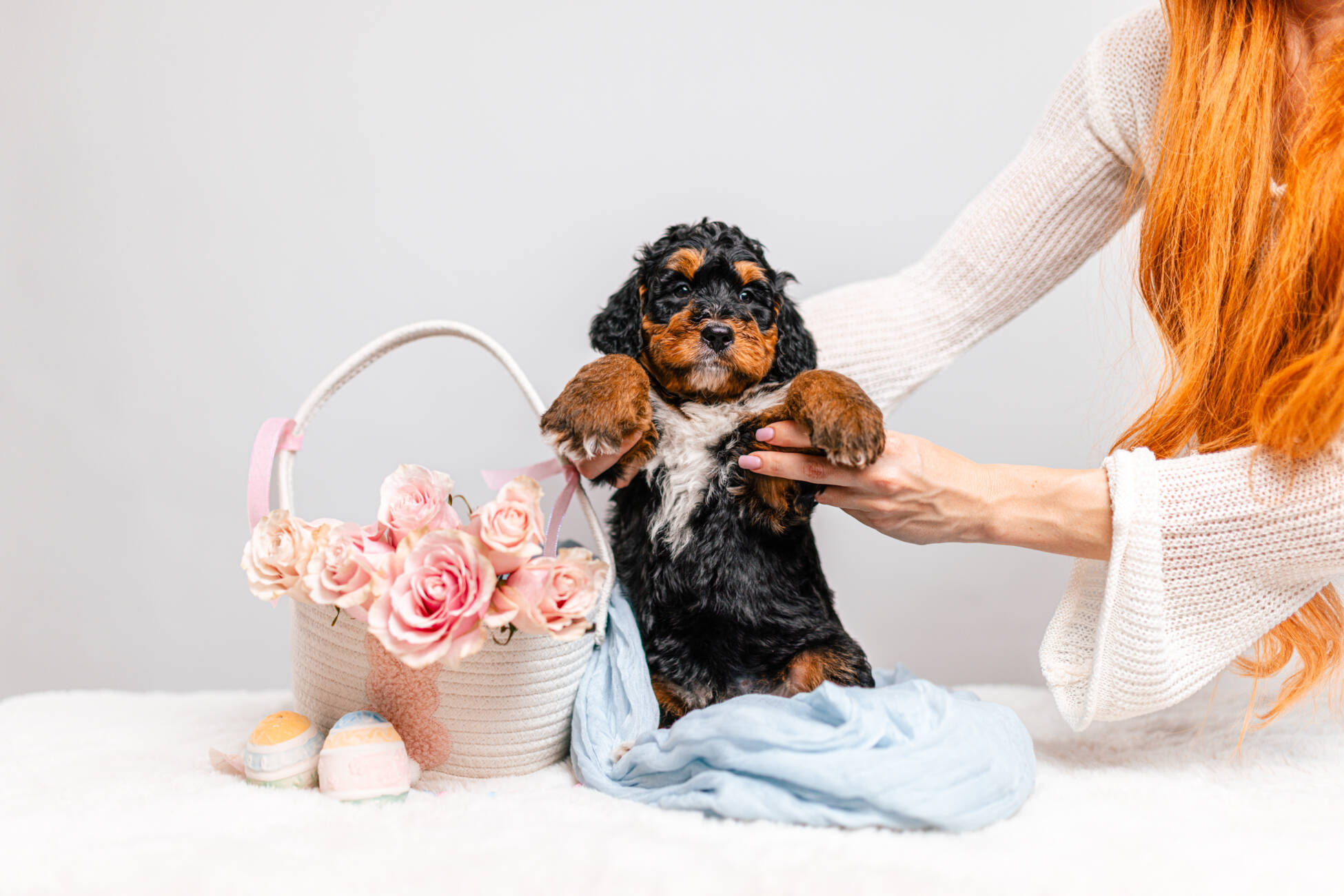 3litter 10В7048бруно 3