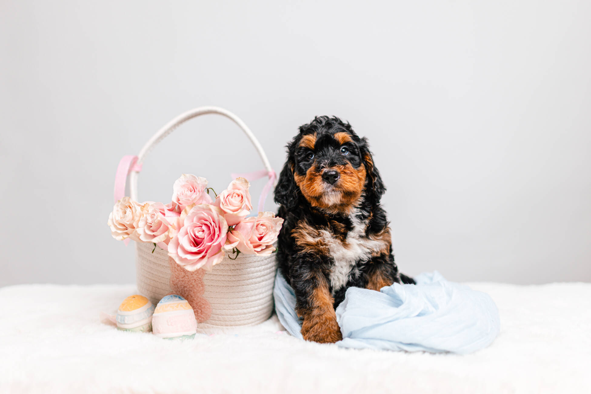 3litter 10В7048бруно 4