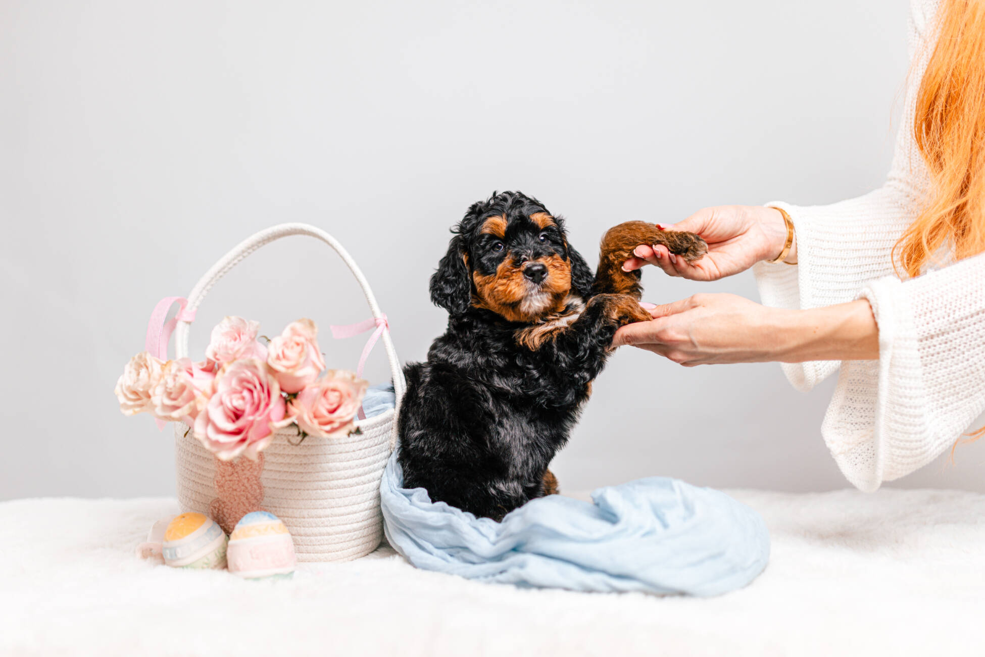 3litter 10В7048бруно 5