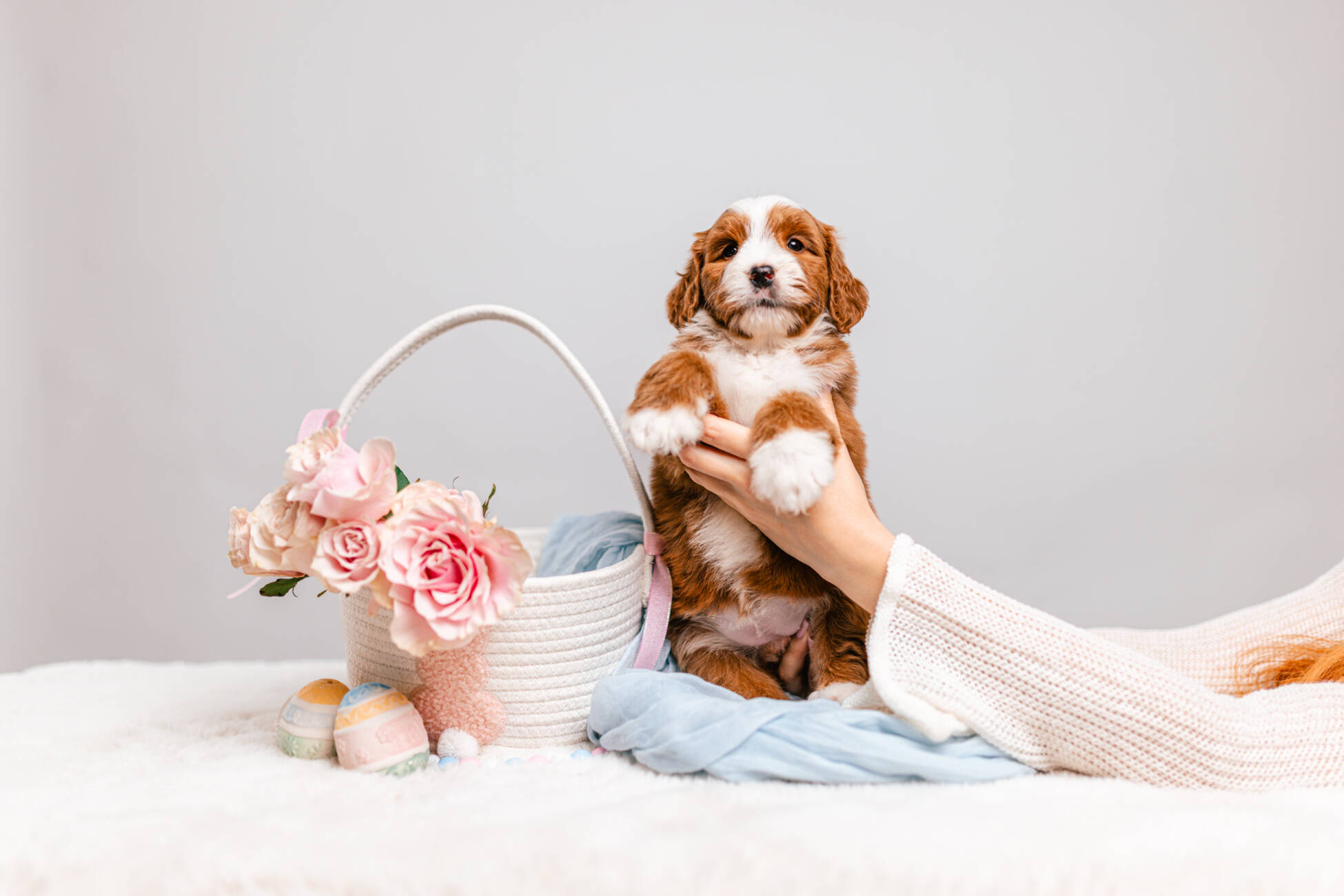 3litter 1g7023белла 1