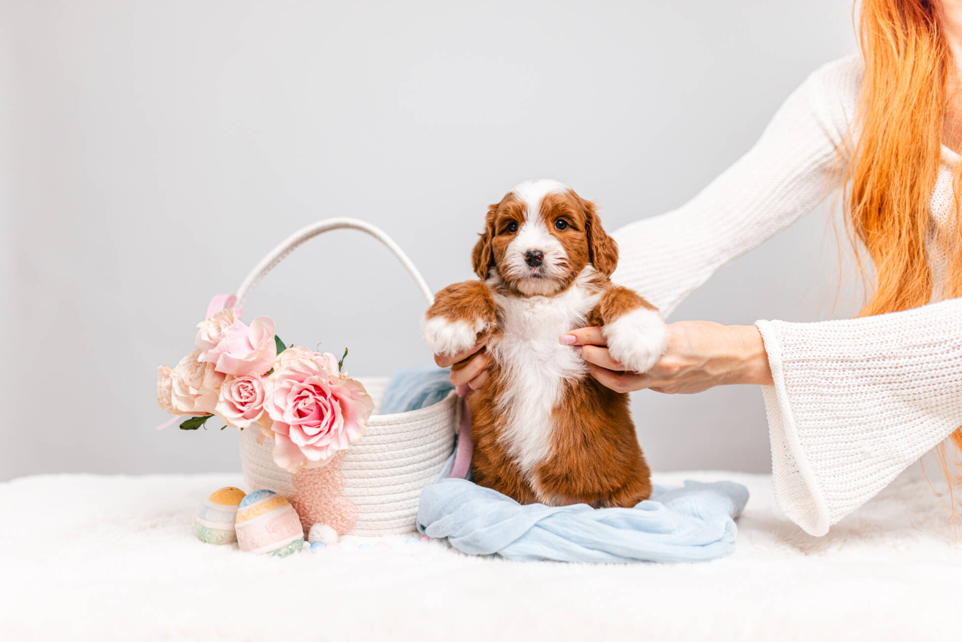 3litter 1g7023белла 3