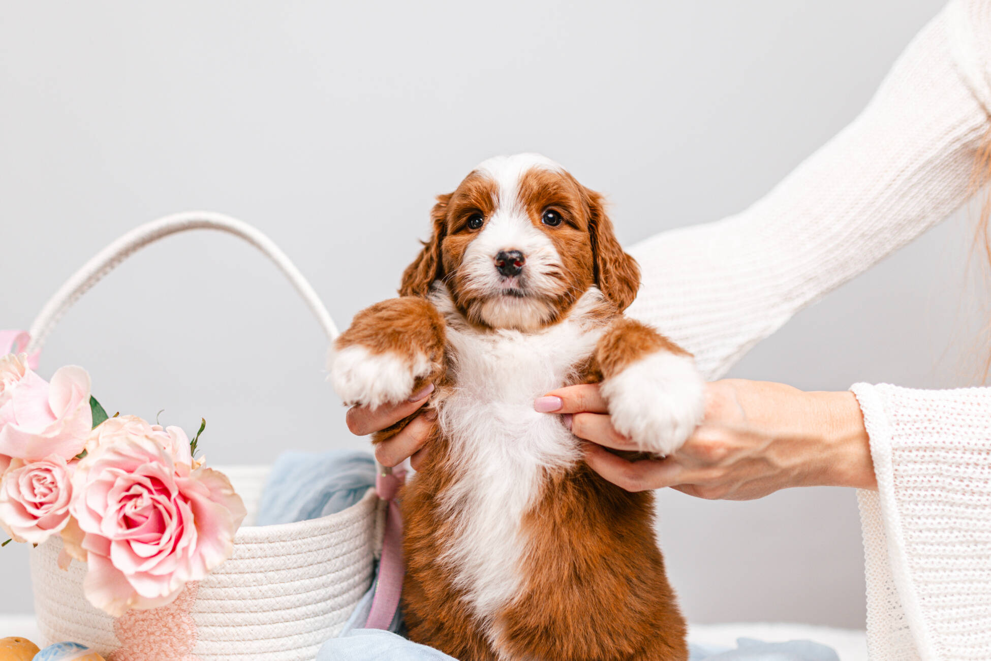 3litter 1g7023белла 4