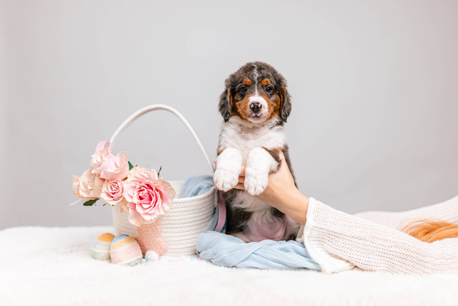 3litter 2g7024бемби 1