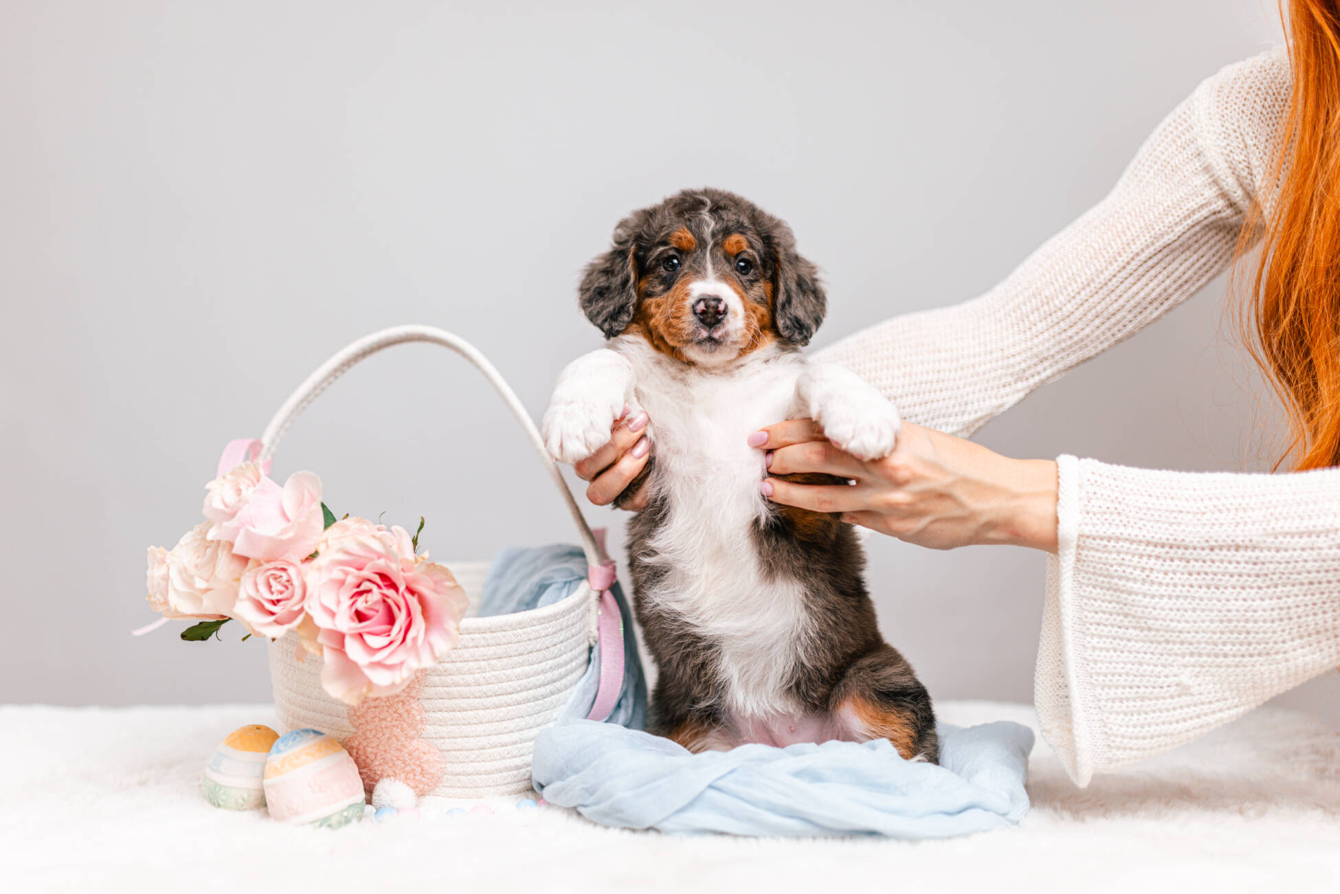 3litter 2g7024бемби 2