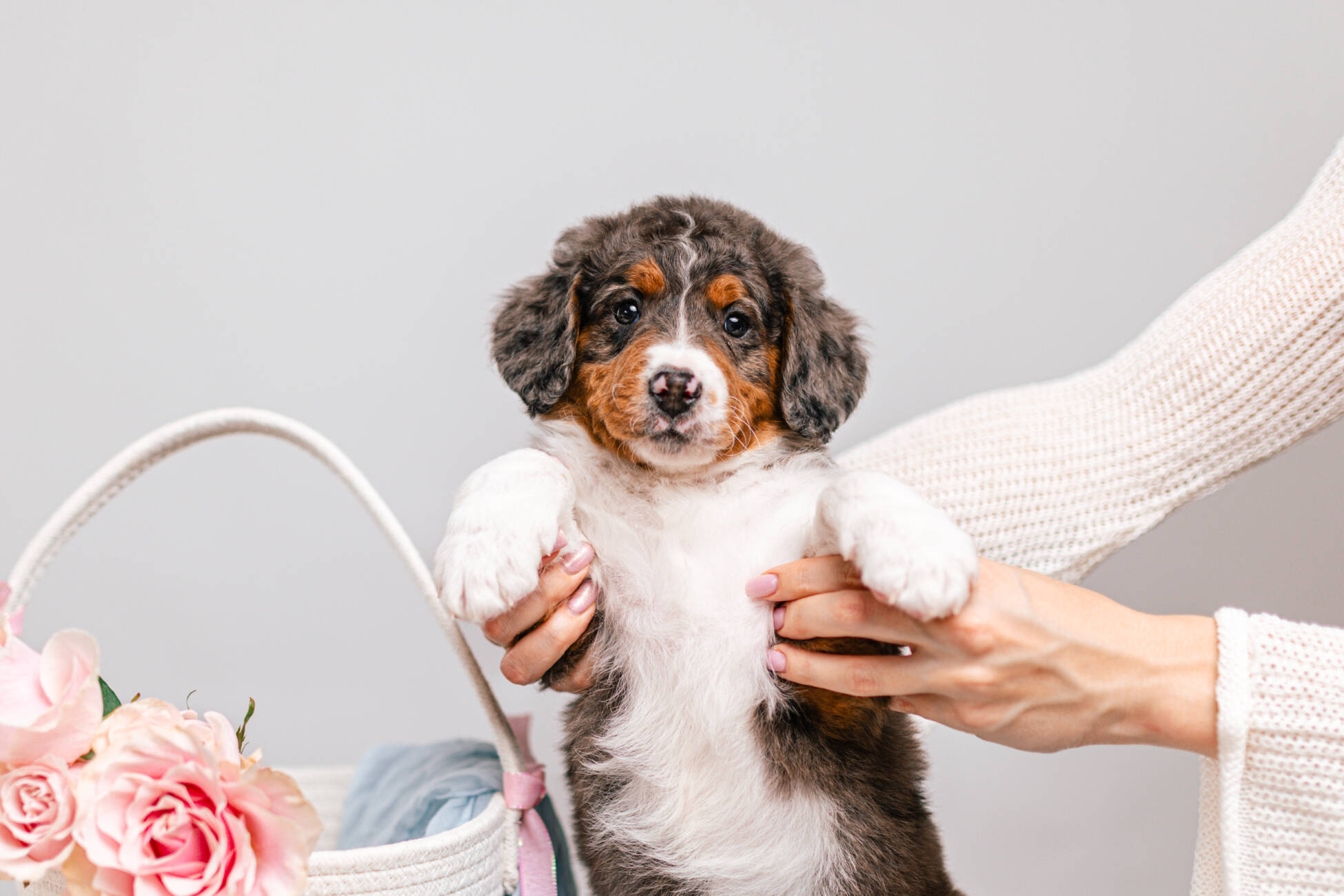 3litter 2g7024бемби 3