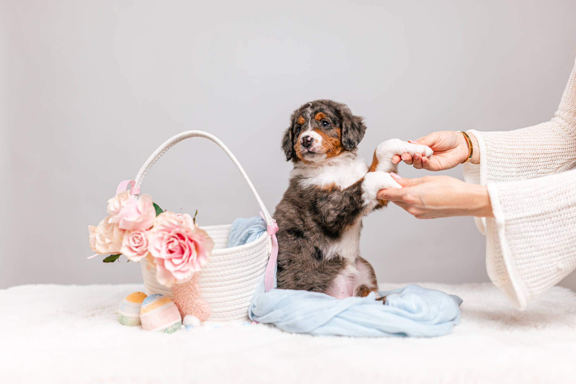 3litter 2g7024бемби 4