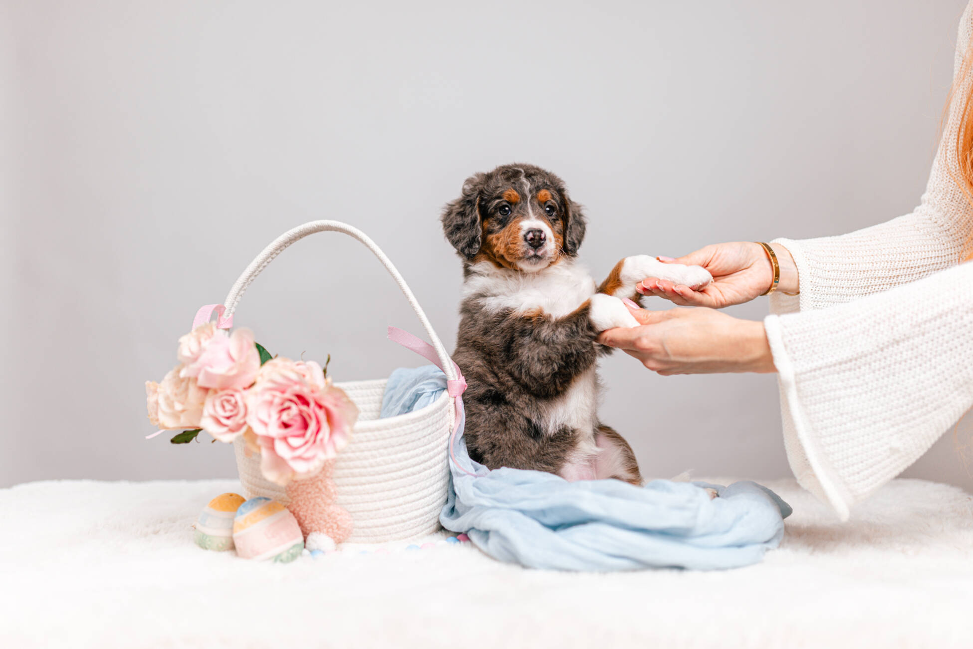 3litter 2g7024бемби 5