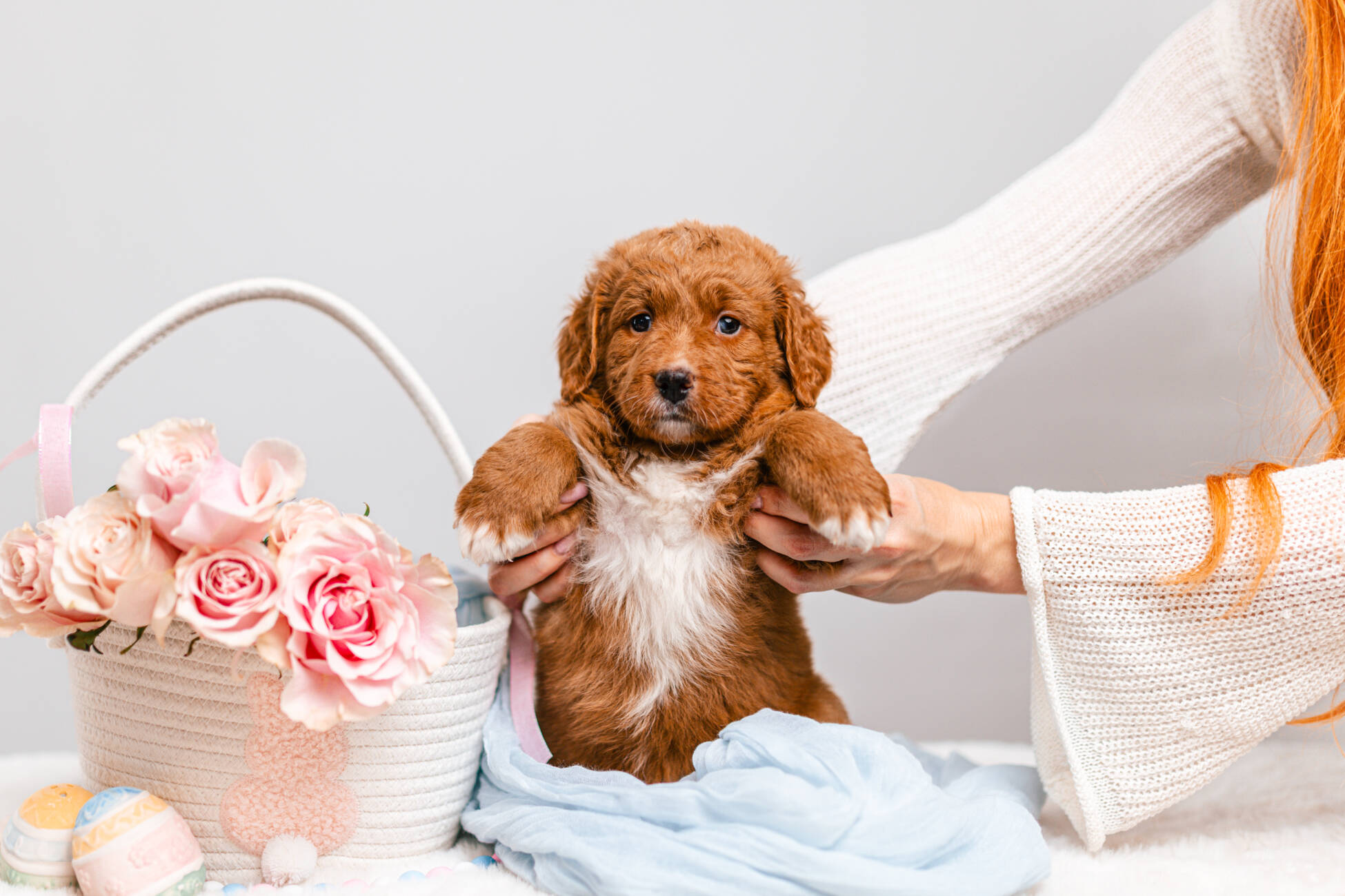 3litter 3g7019бри 2