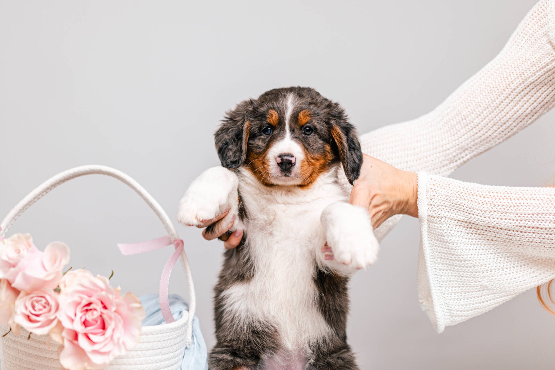 3litter 4g7020бони 3