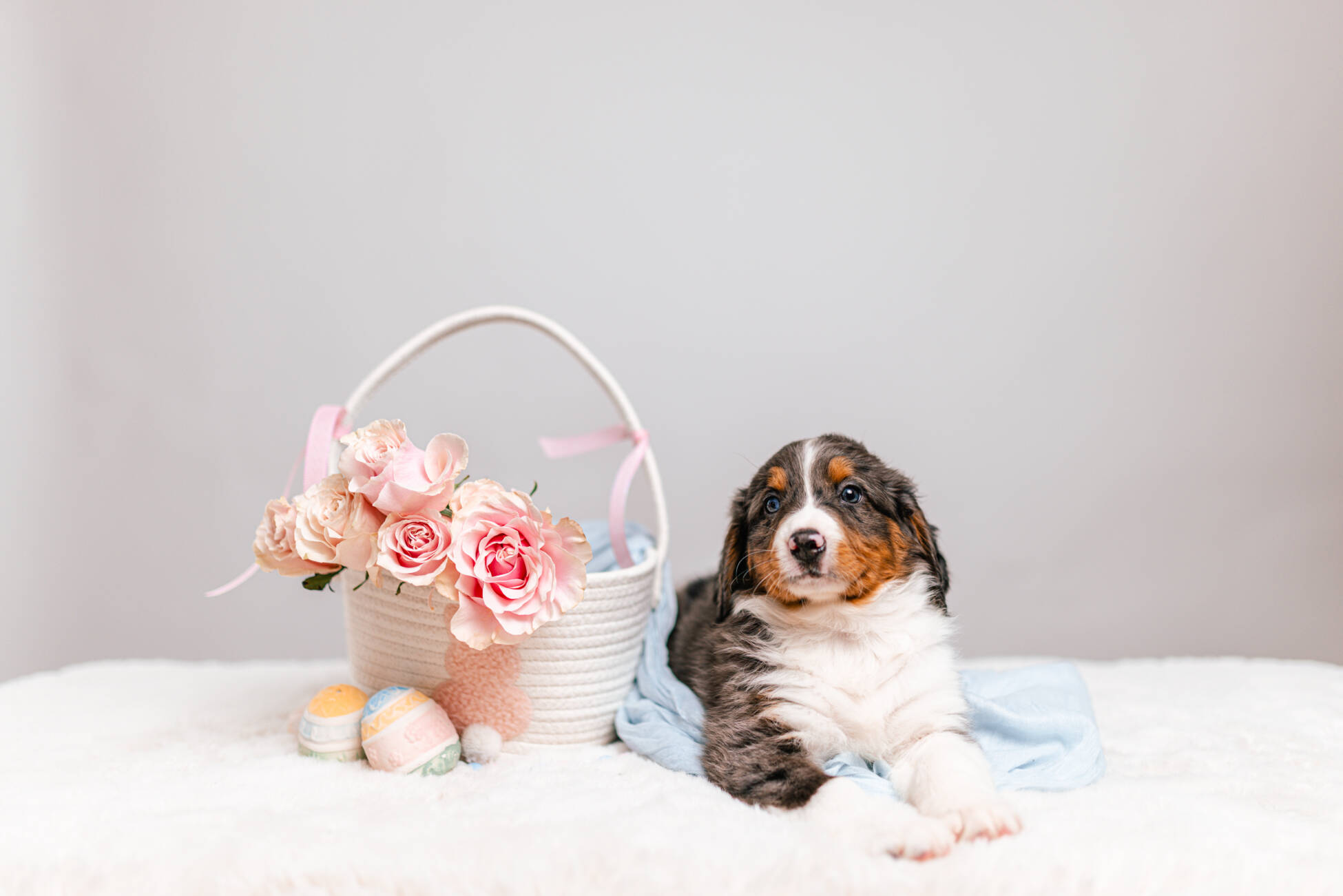 3litter 4g7020бони 5