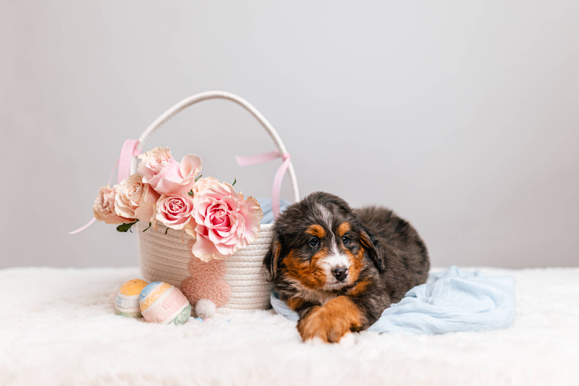 3litter 5g7047блоссом 1