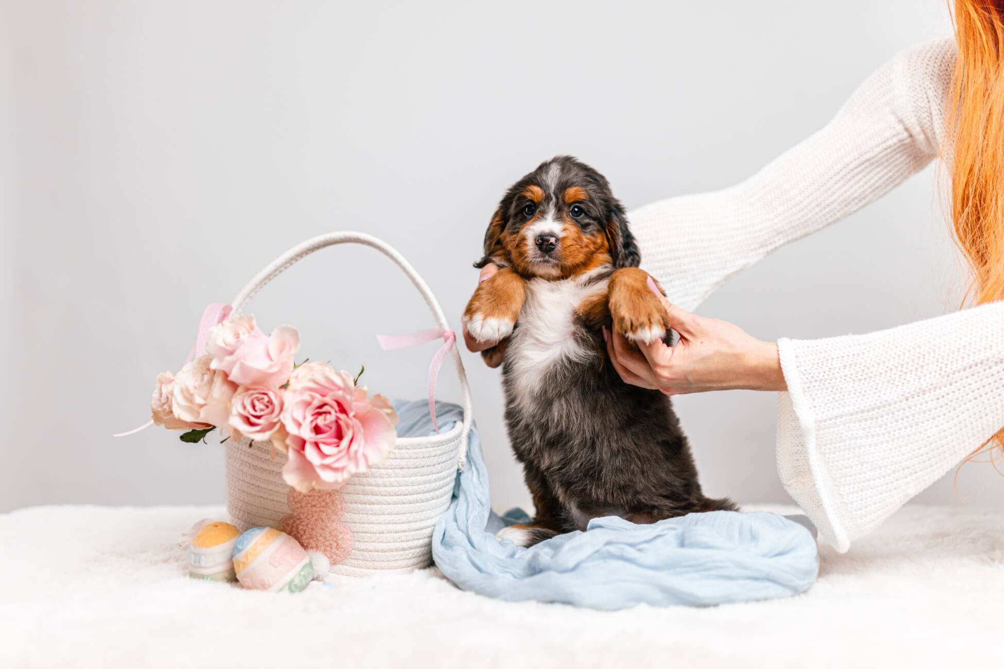 3litter 5g7047блоссом 2