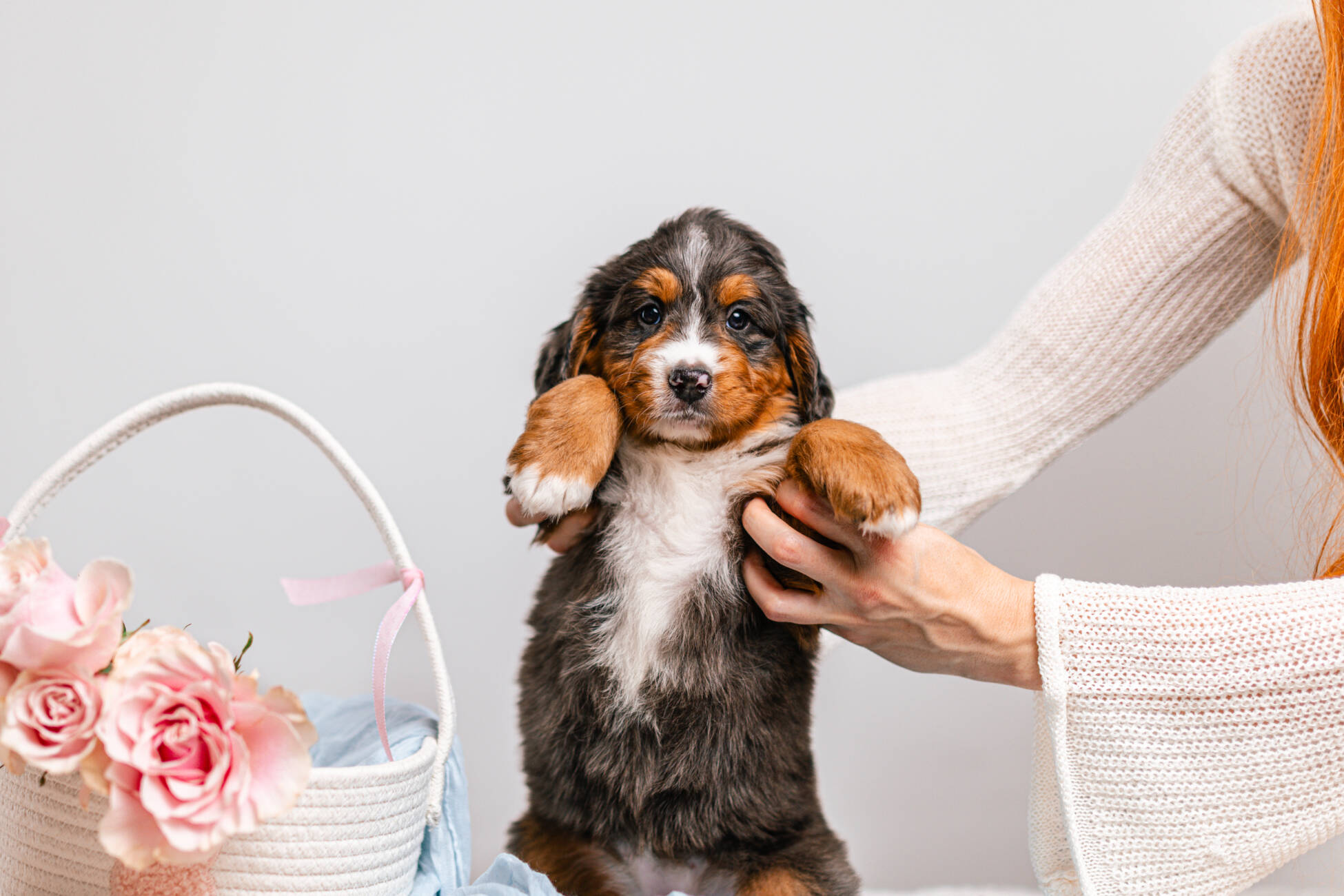 3litter 5g7047блоссом 3