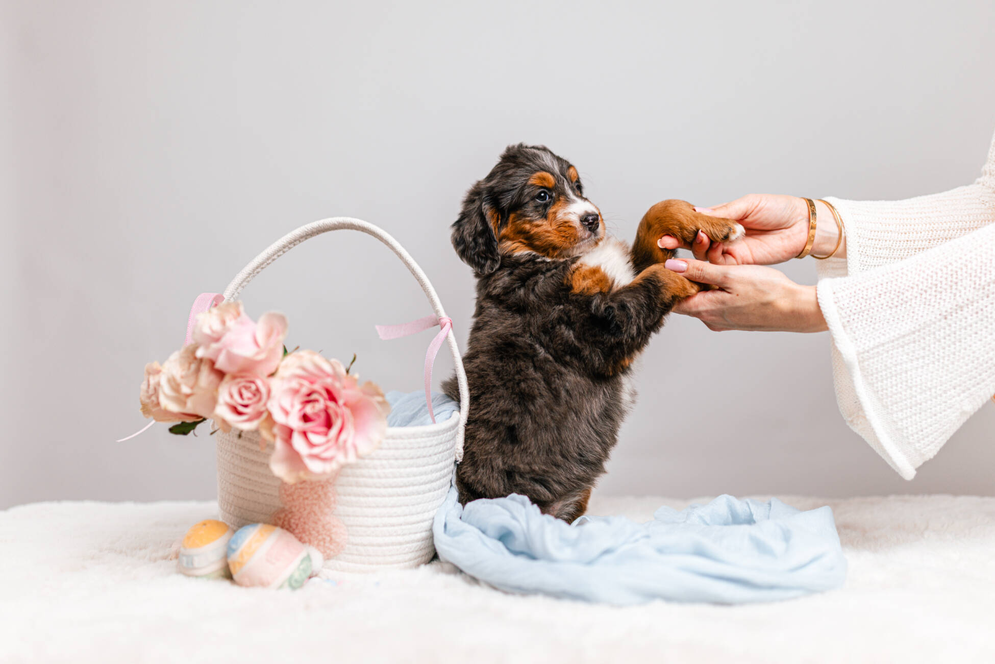 3litter 5g7047блоссом 4