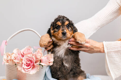 3litter 8В7046бени 2