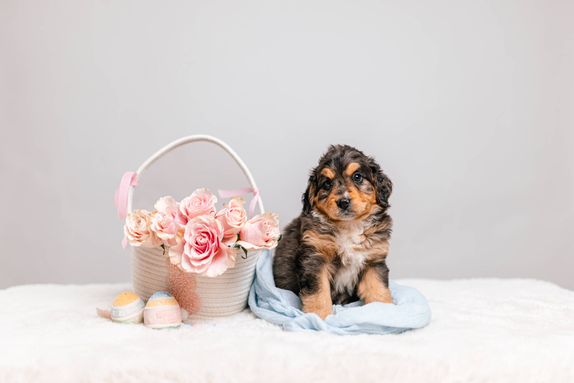 3litter 8В7046бени 3