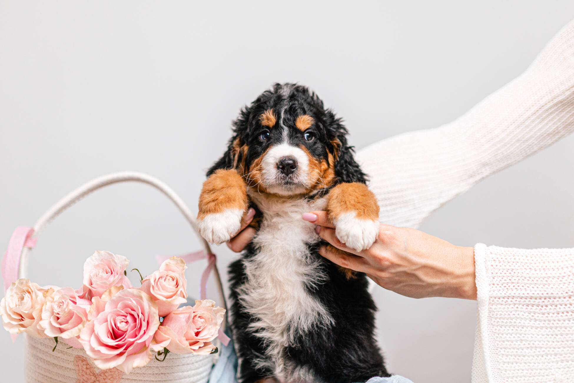 3litter 9В7045бо 2