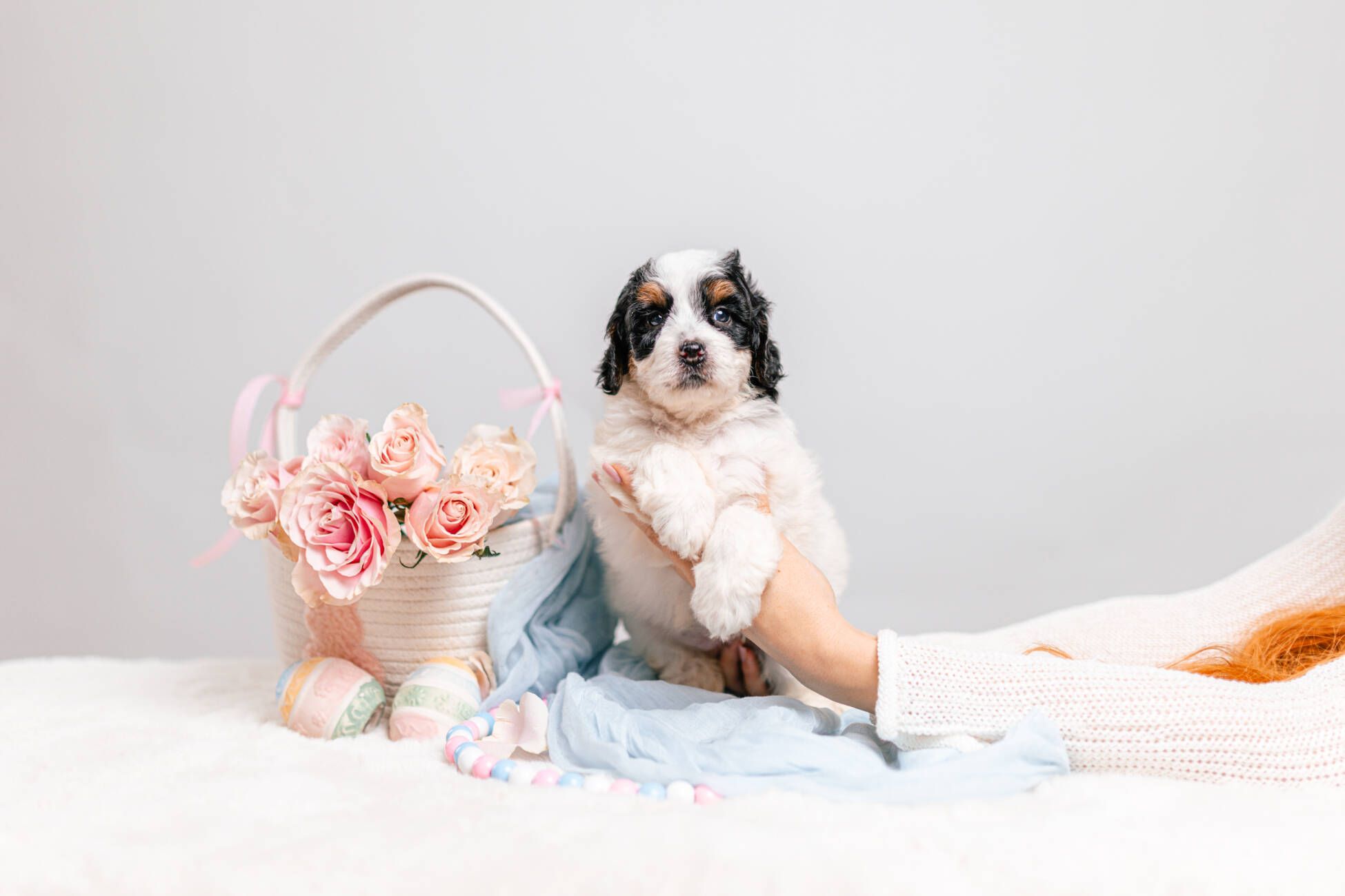 5litter 1g7208тесса 1