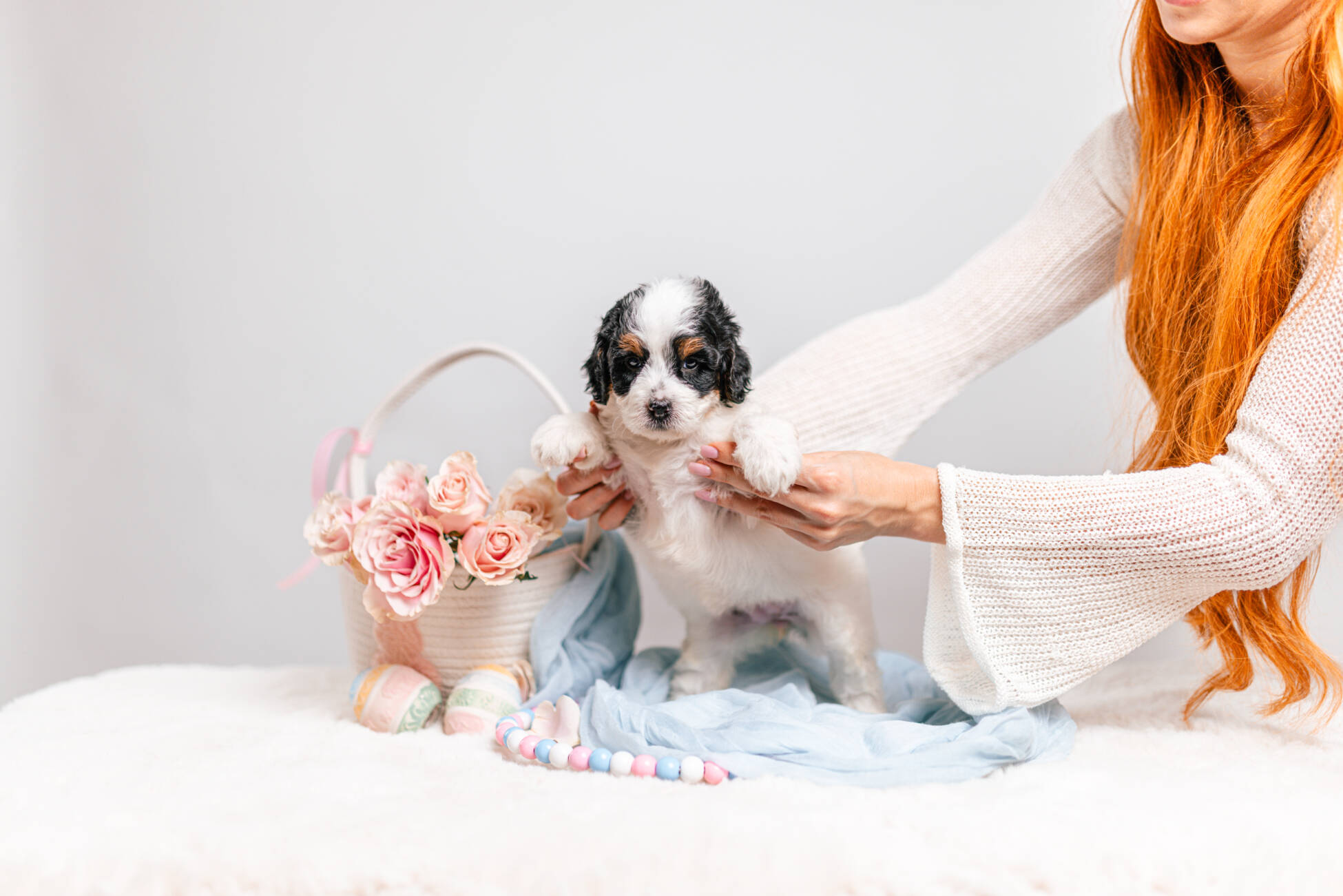 5litter 1g7208тесса 2