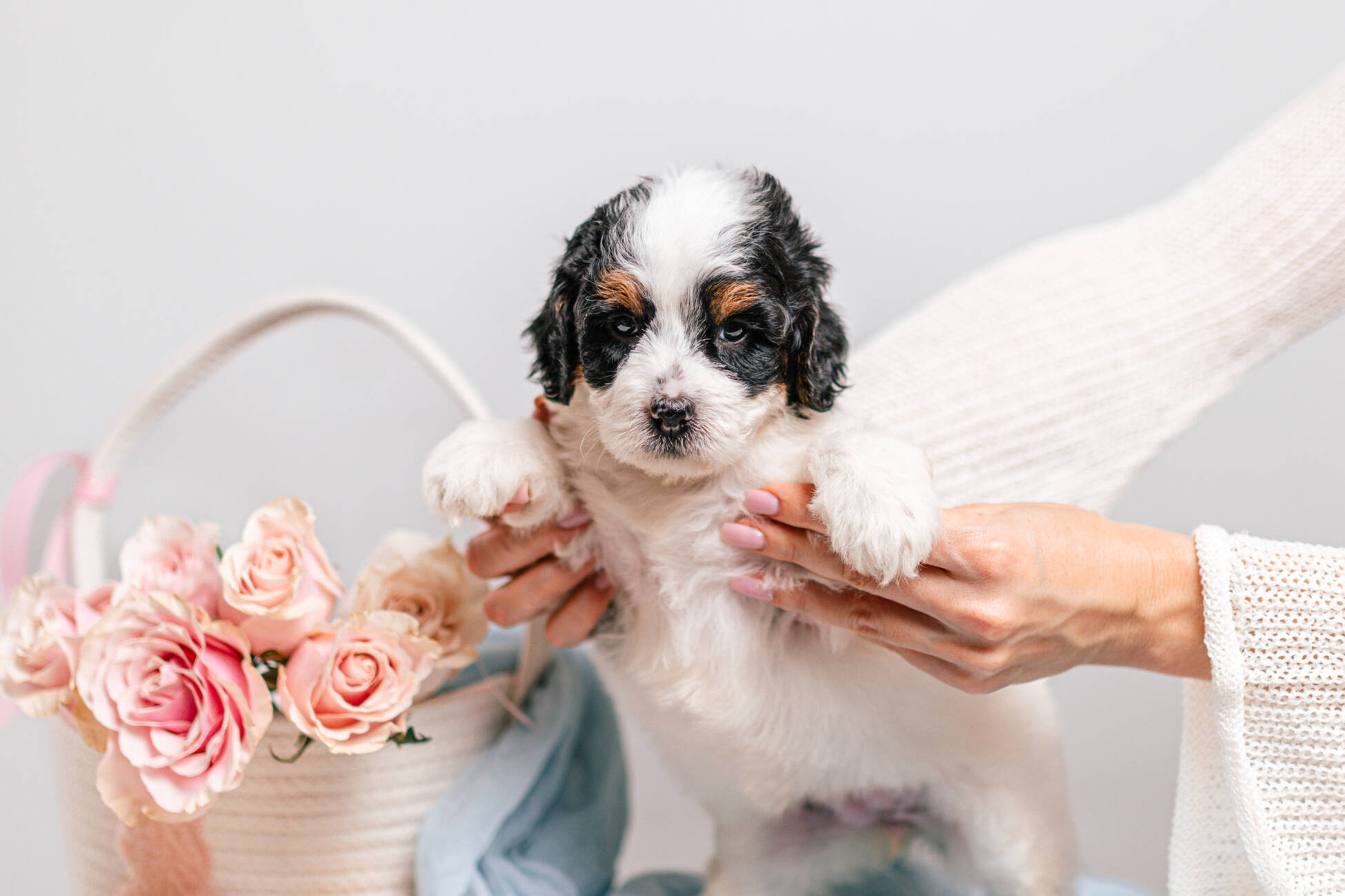 5litter 1g7208тесса 3