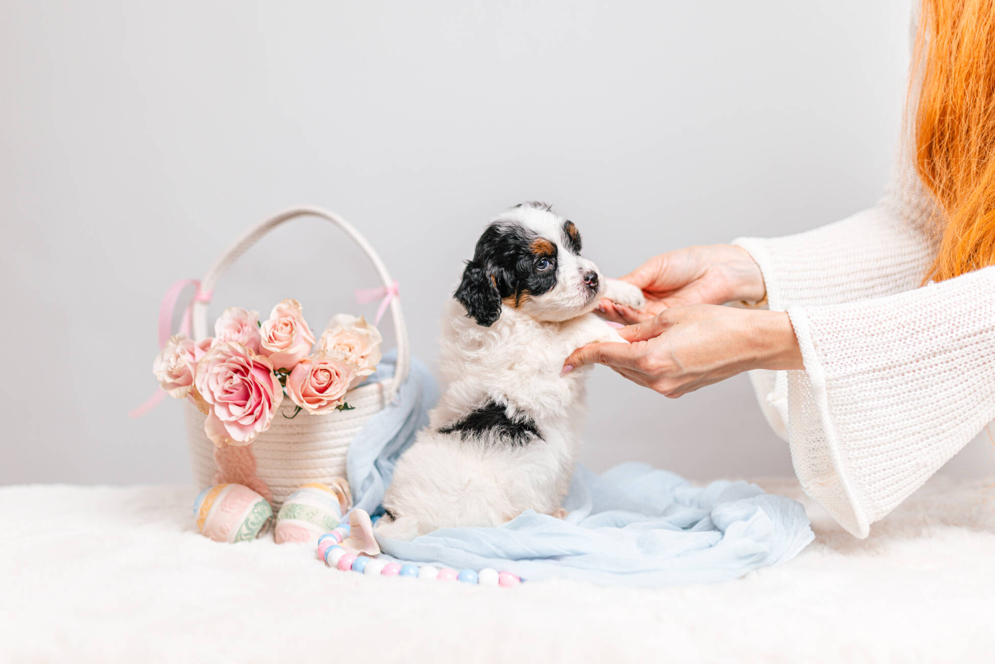 5litter 1g7208тесса 5