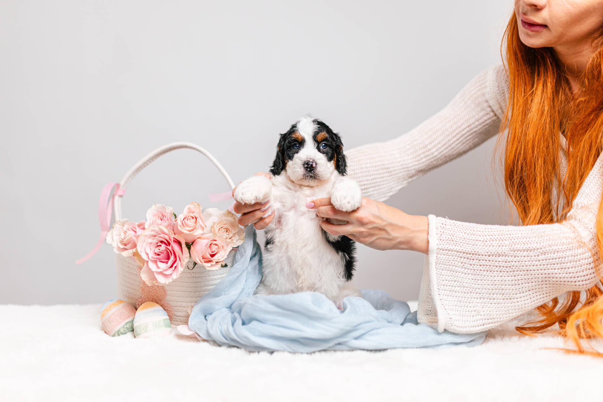 5litter 6В7206таро 1