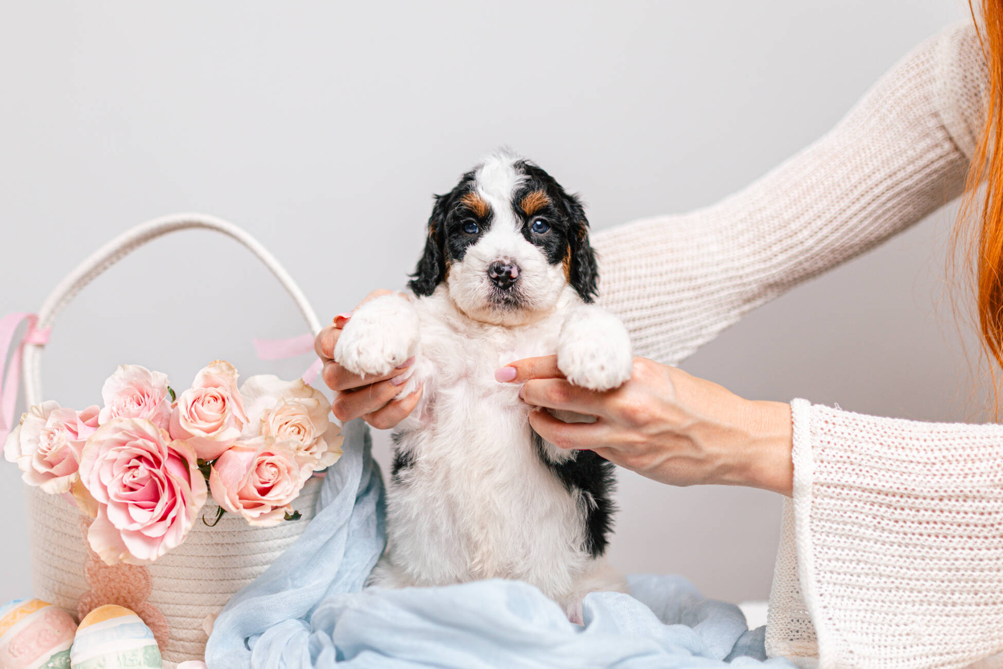 5litter 6В7206таро 2