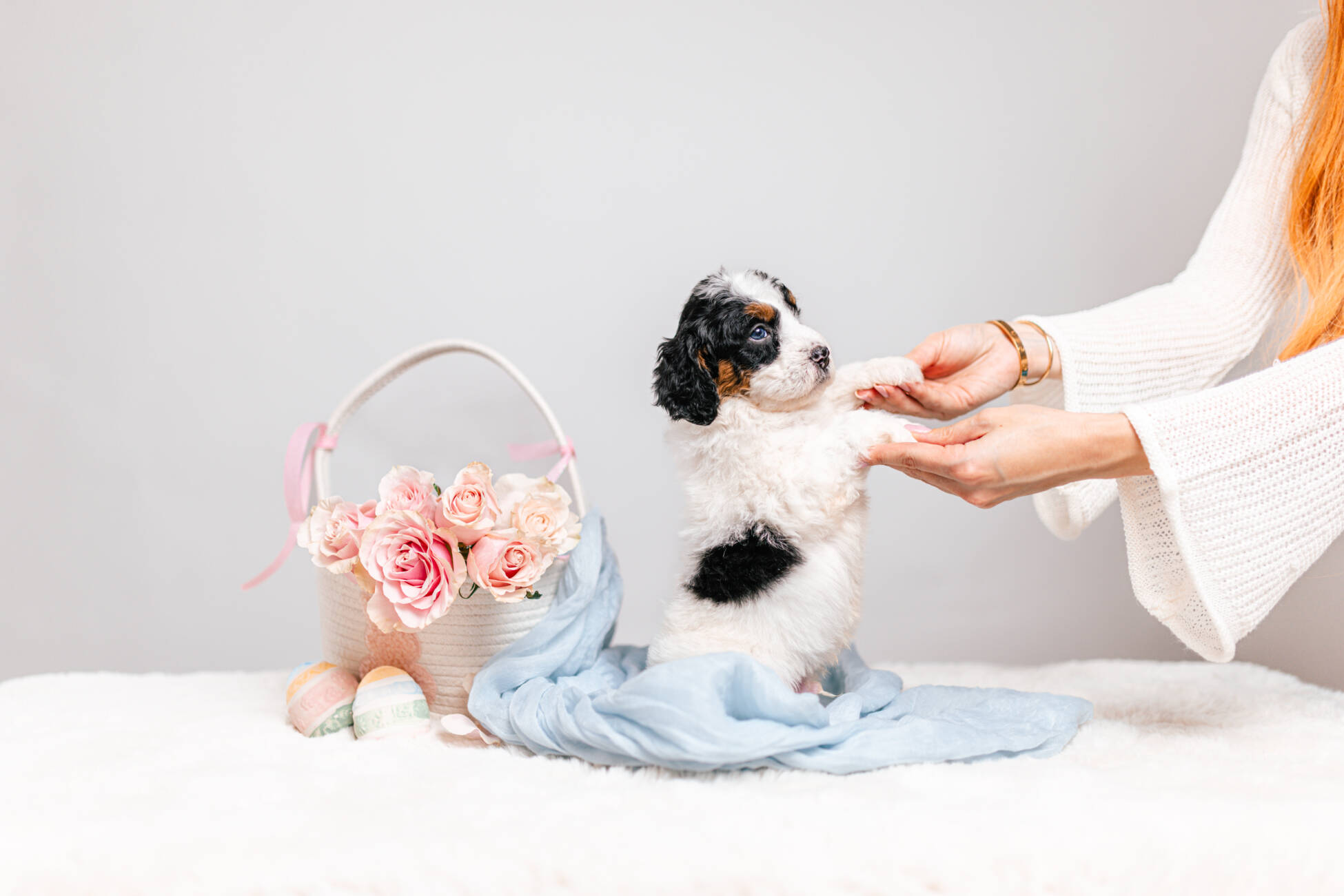 5litter 6В7206таро 4