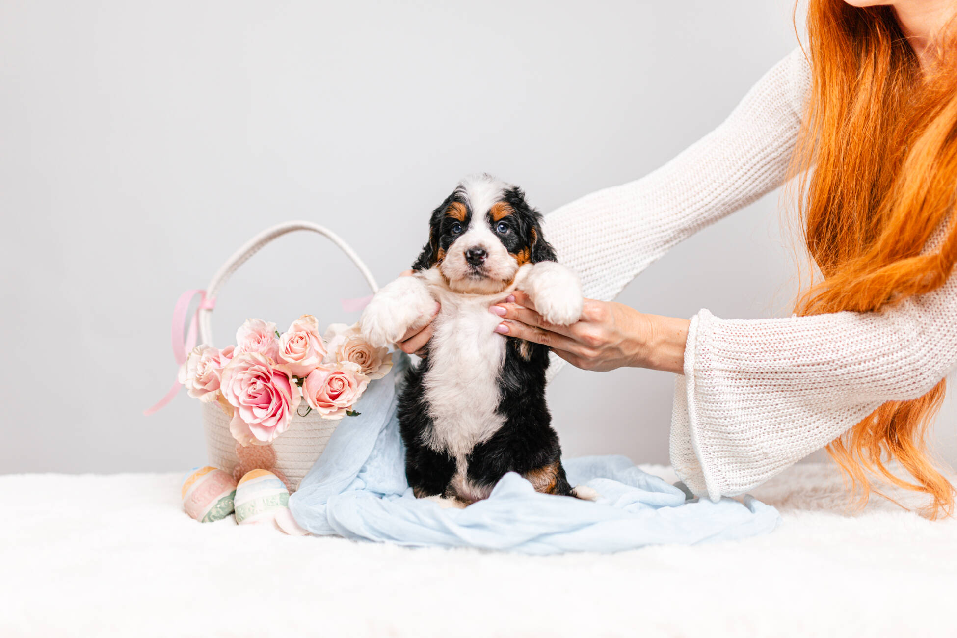 6litter 1g7200зои 1