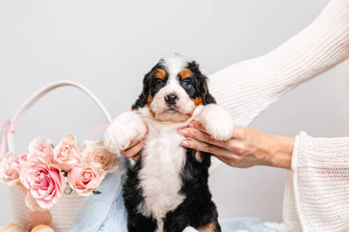 6litter 1g7200зои 2