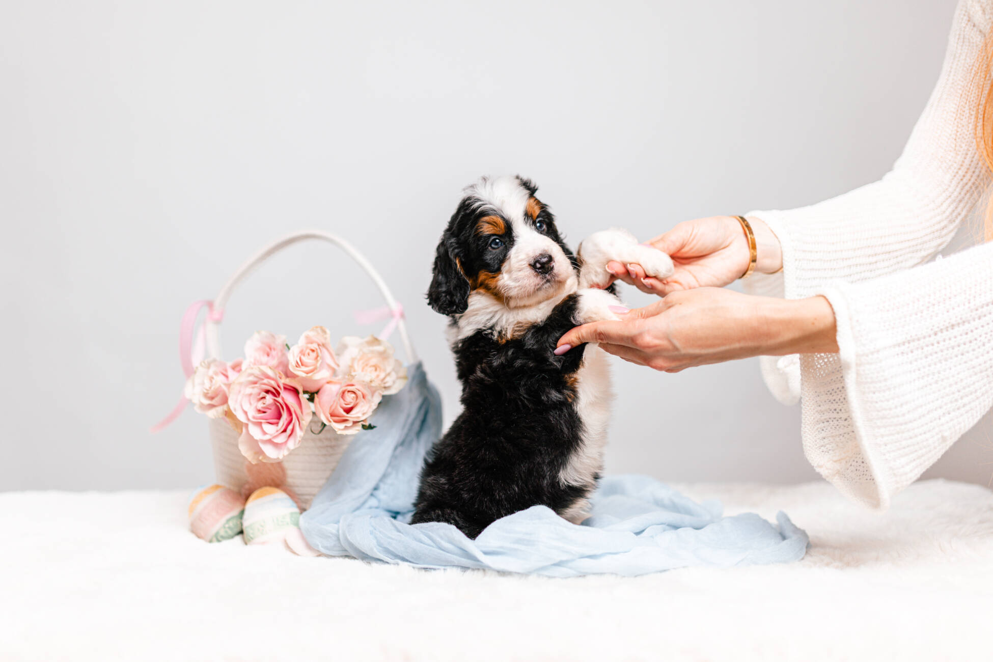 6litter 1g7200зои 4