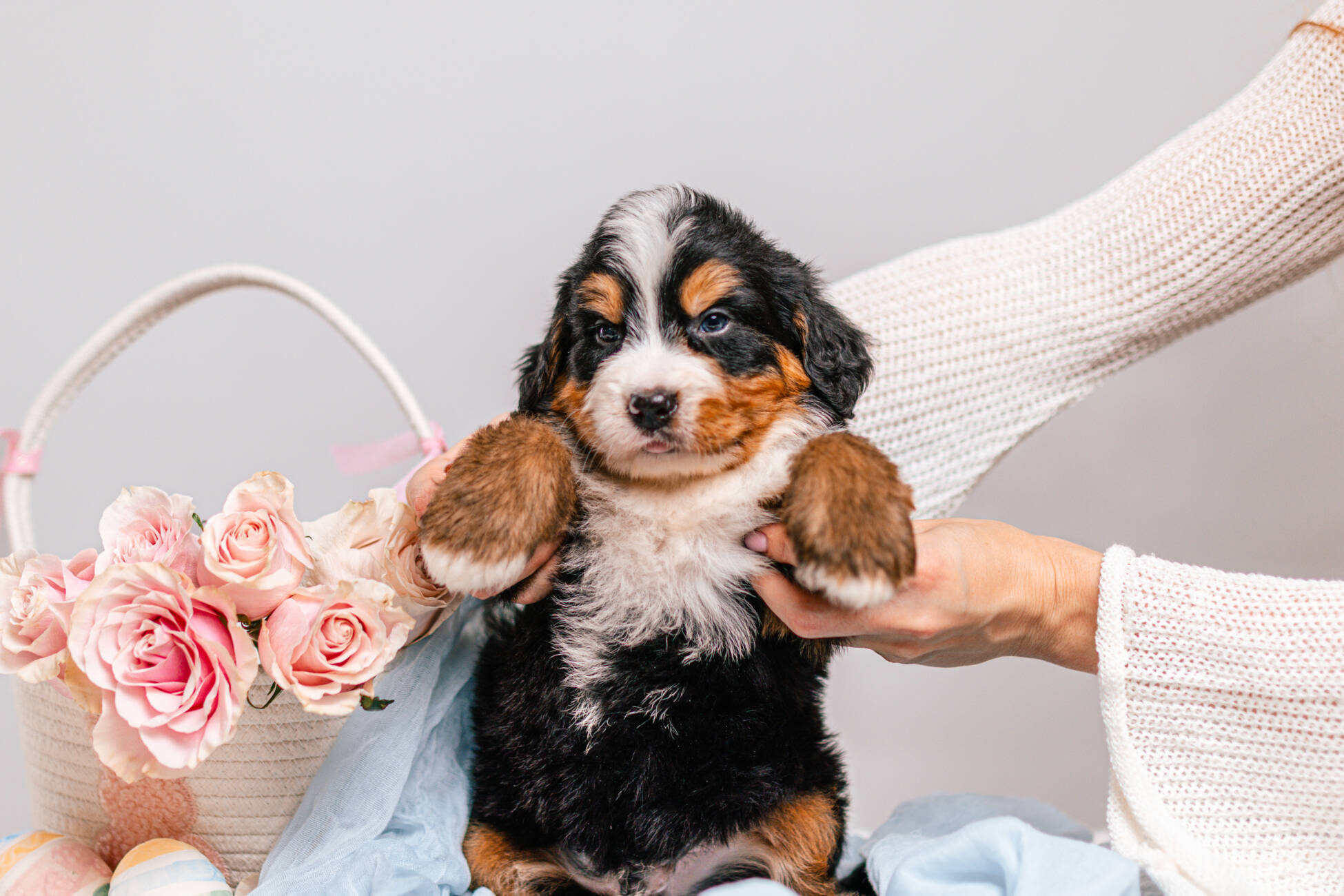 6litter 7В7021зюс 2