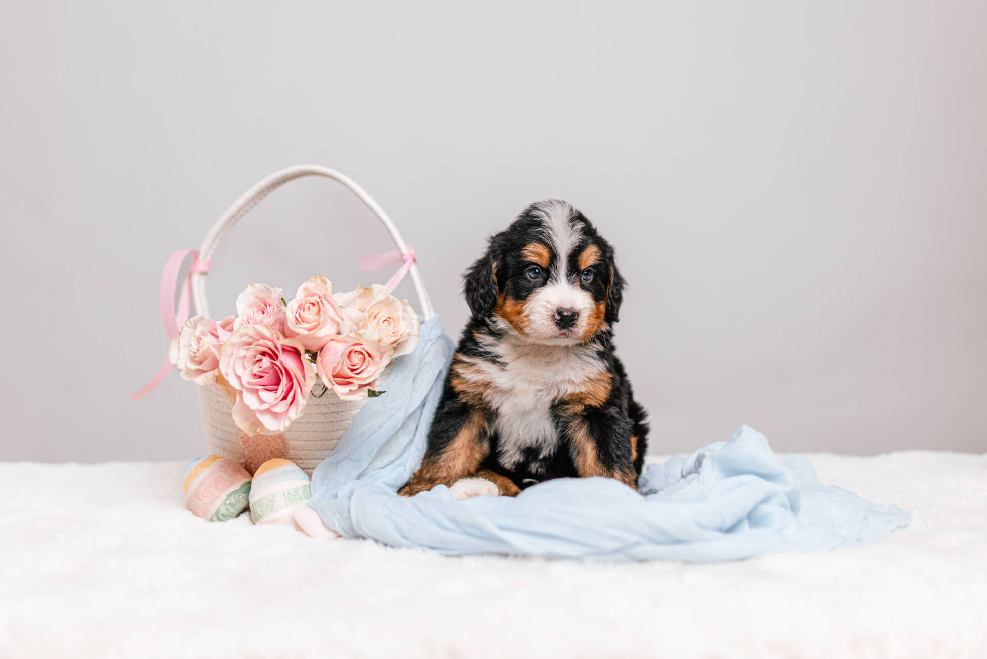 6litter 7В7021зюс 5