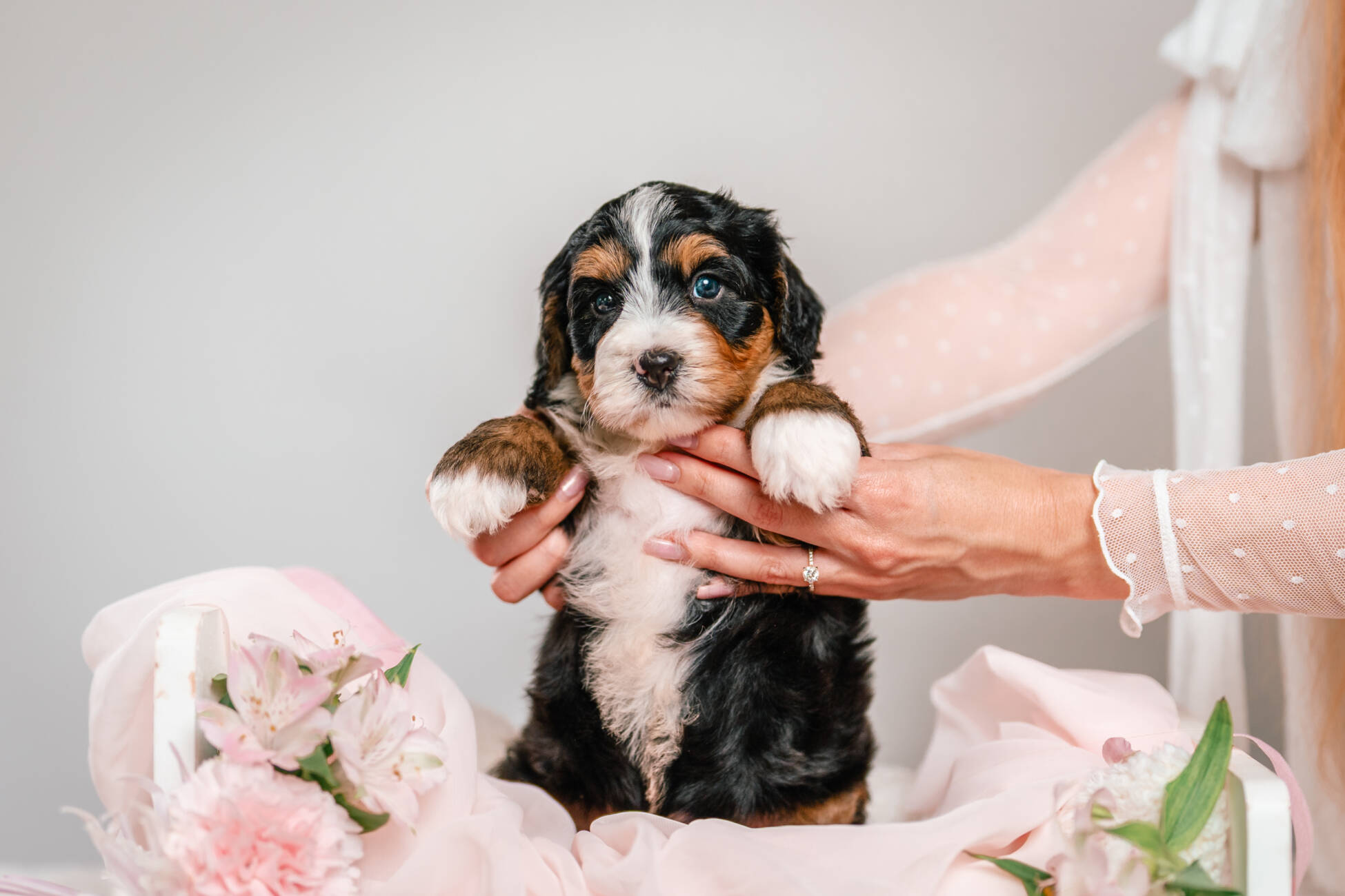 1litter 7В4479нико 4