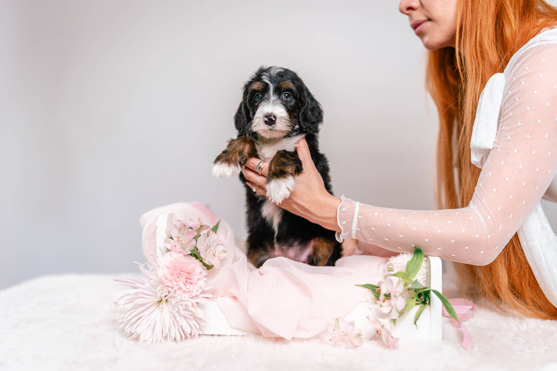 3litter 2g4458дейзи 1