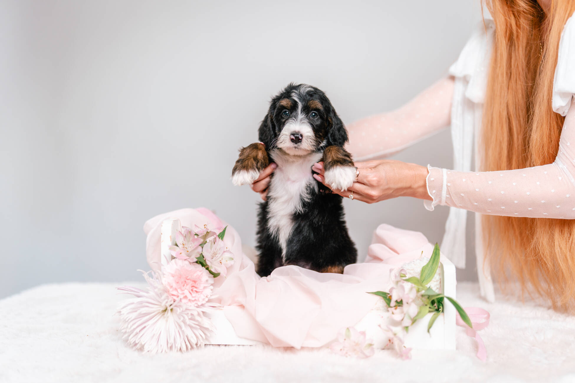 3litter 2g4458дейзи 2