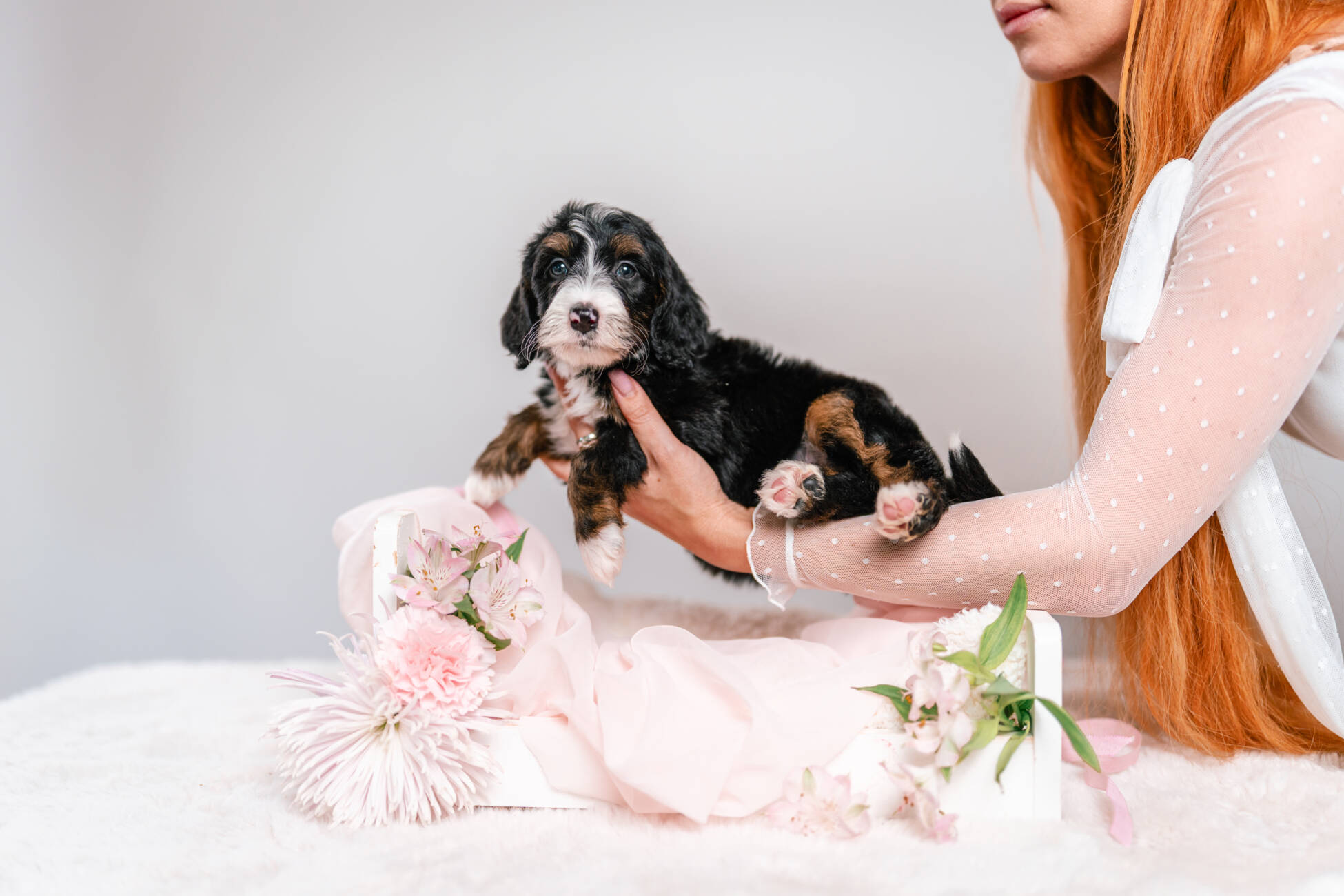 3litter 2g4458дейзи 4