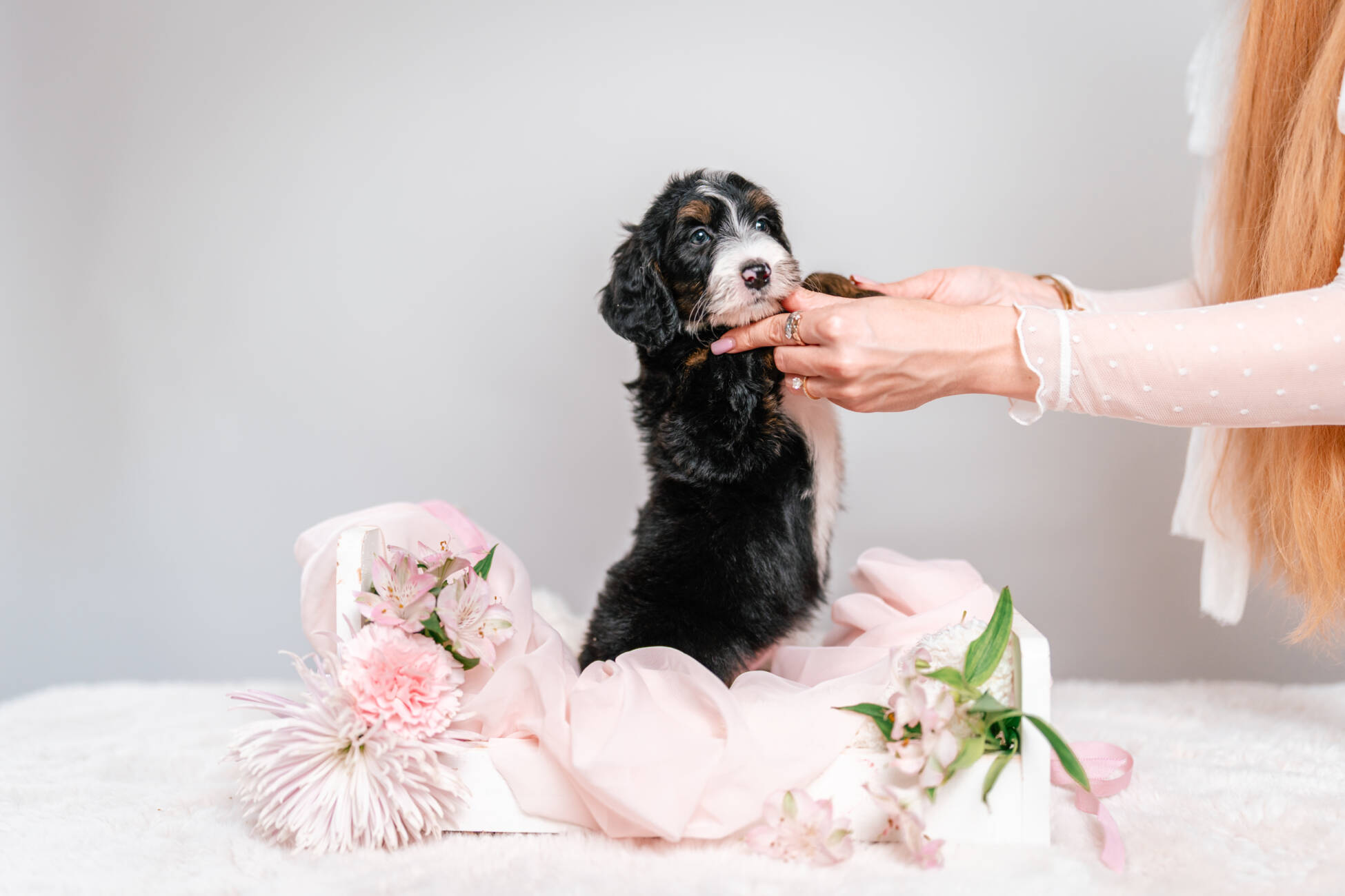 3litter 2g4458дейзи 5