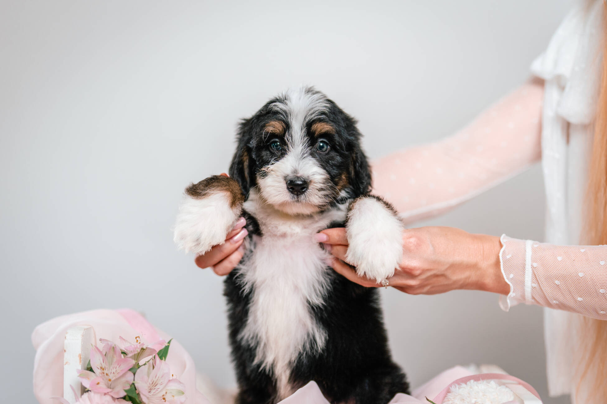 3litter 5В4461дольче 2