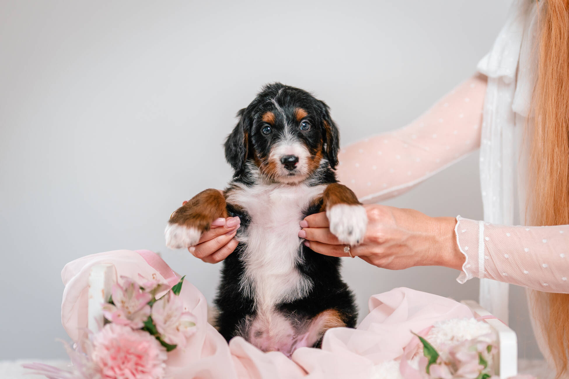 3litter 7В4457дюк 2