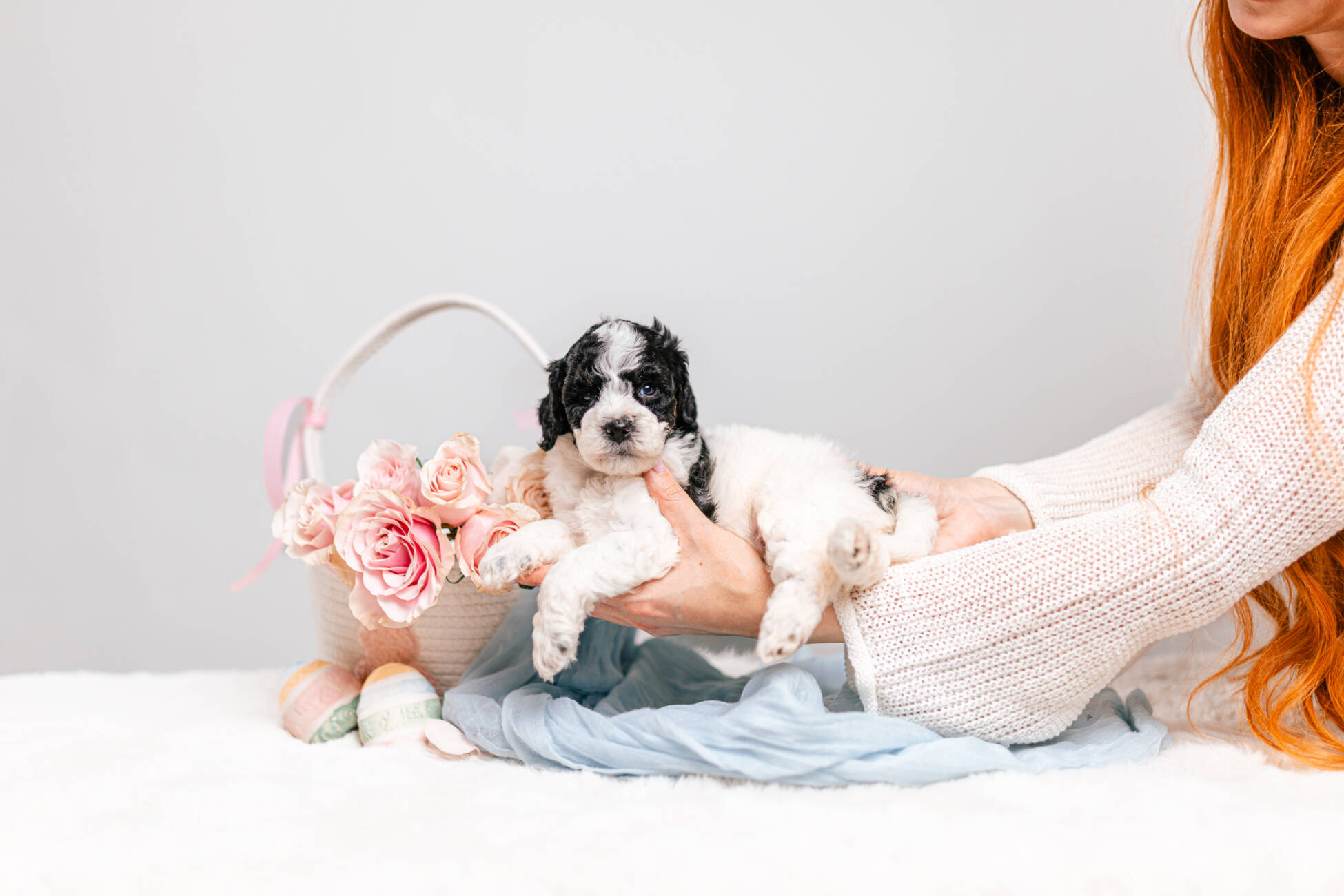 5litter 10В7072Тео 2