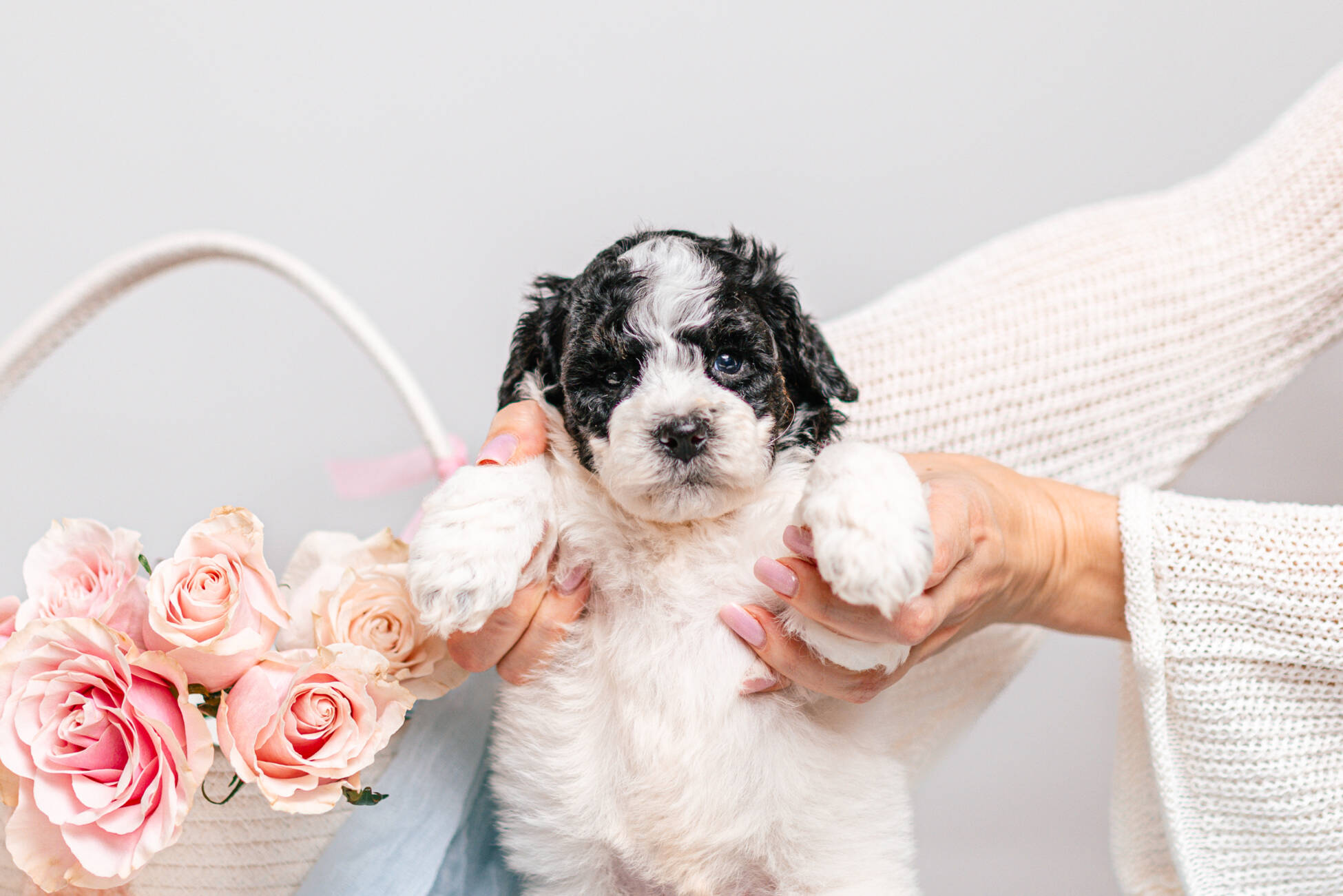 5litter 10В7072Тео 3