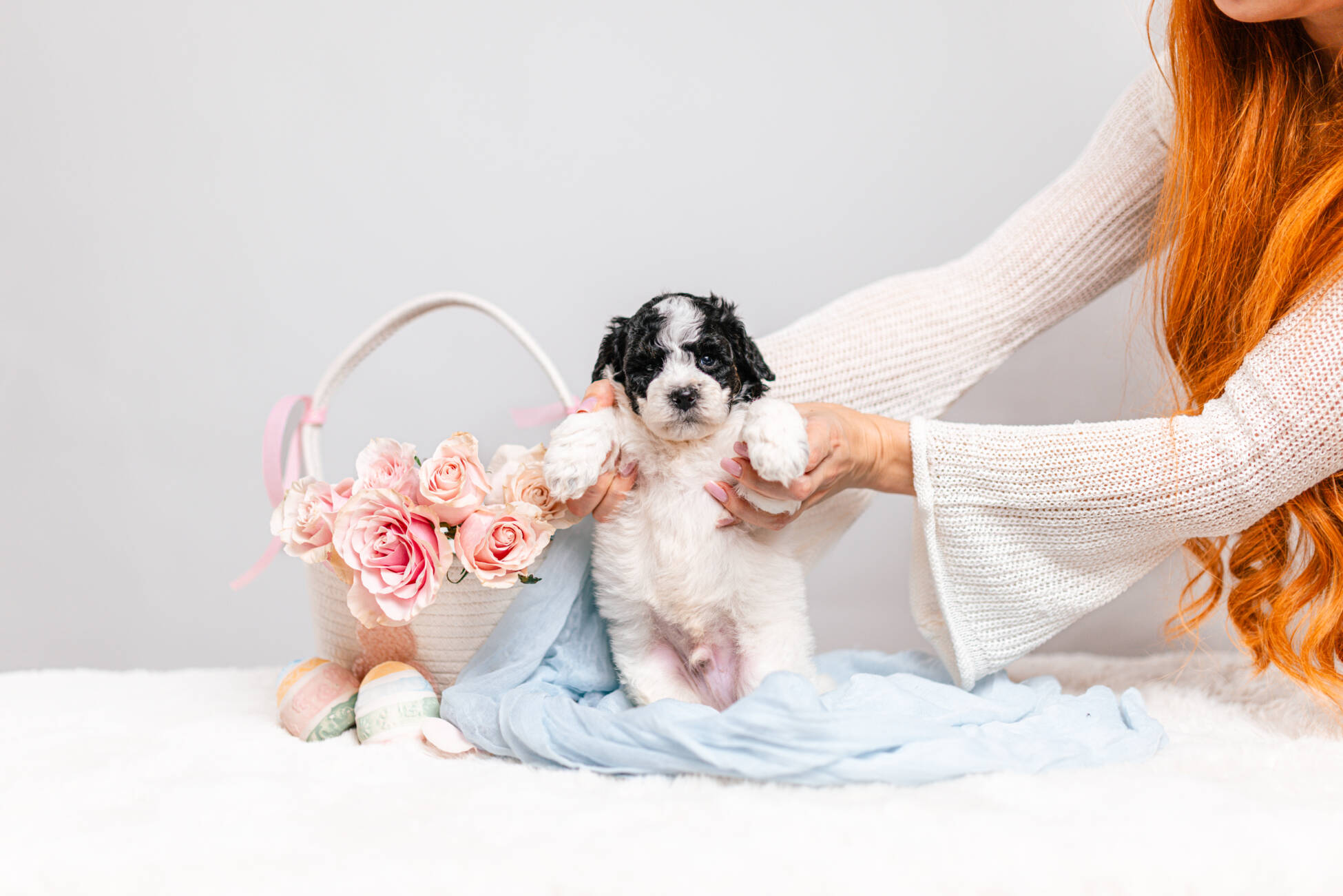 5litter 10В7072Тео 4