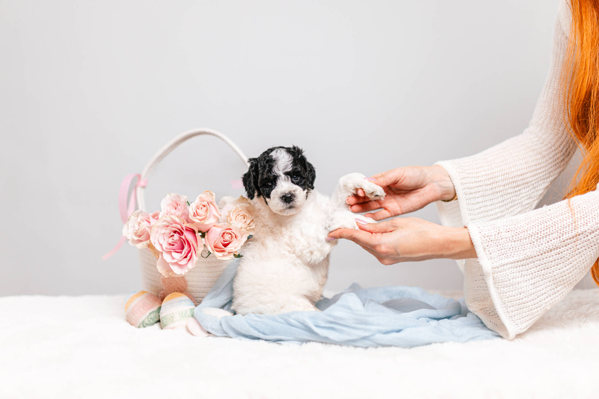 5litter 10В7072Тео 5