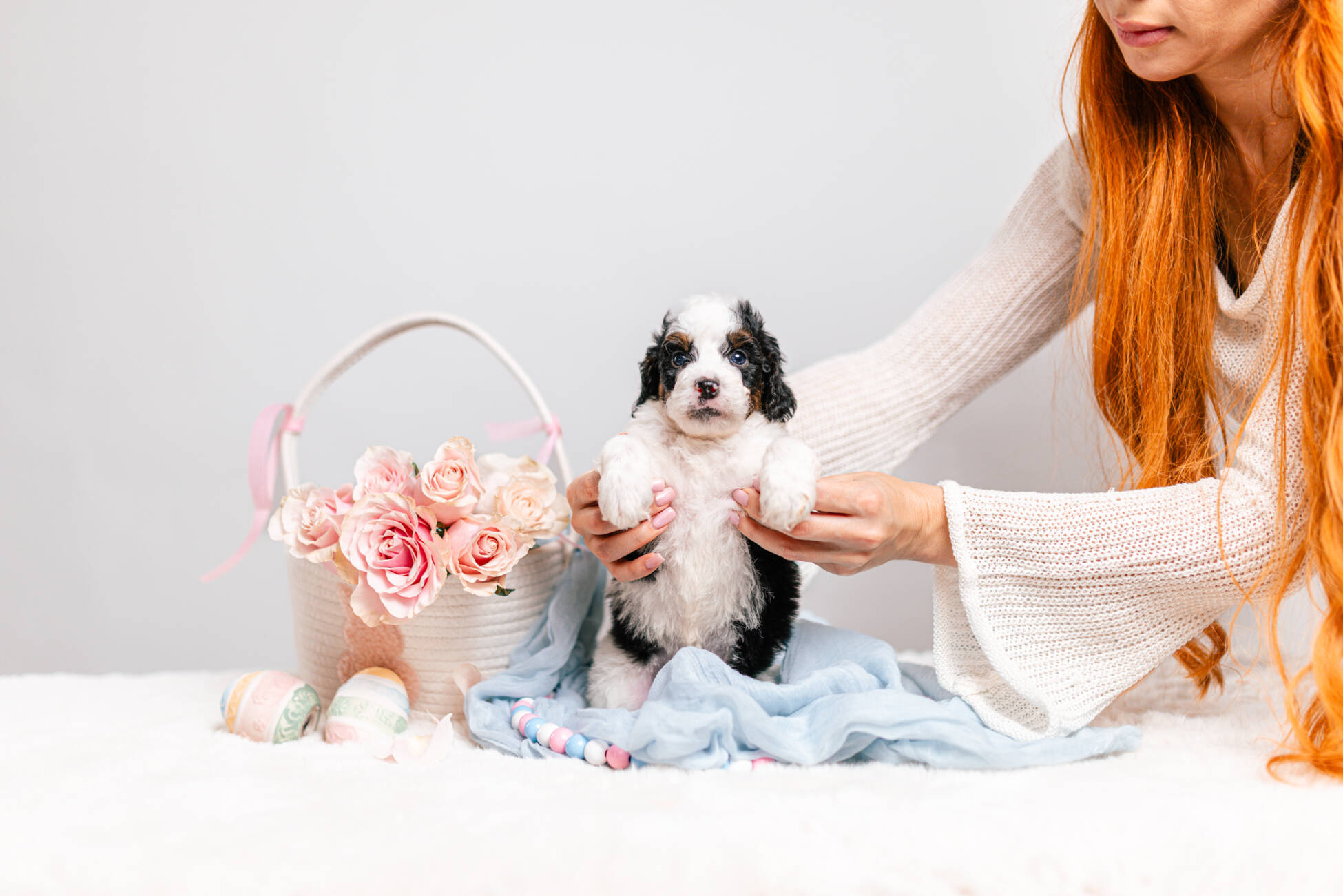 5litter 3g7069трикси 2