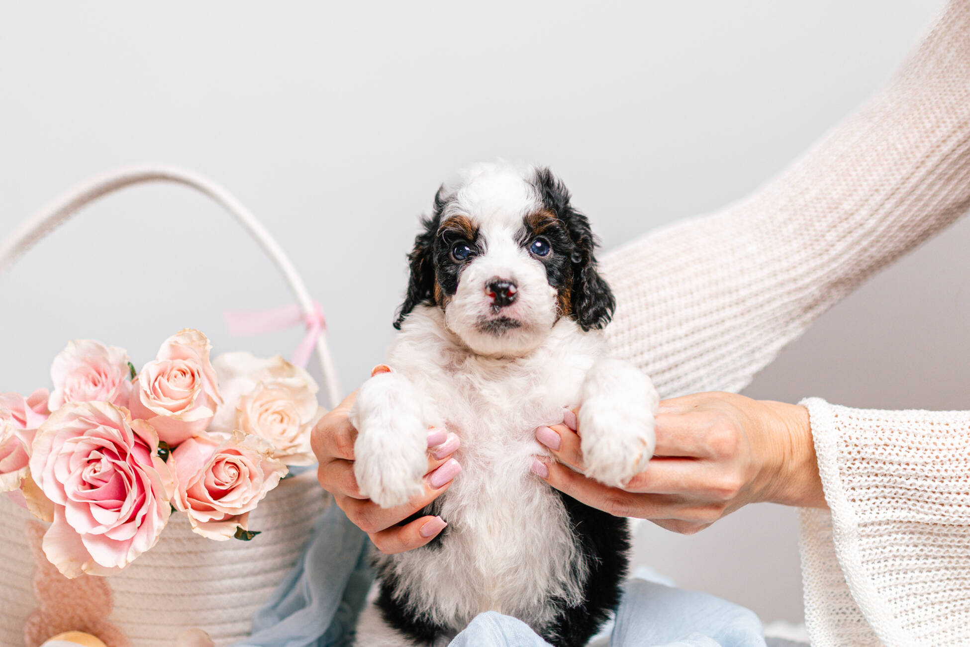 5litter 3g7069трикси 3