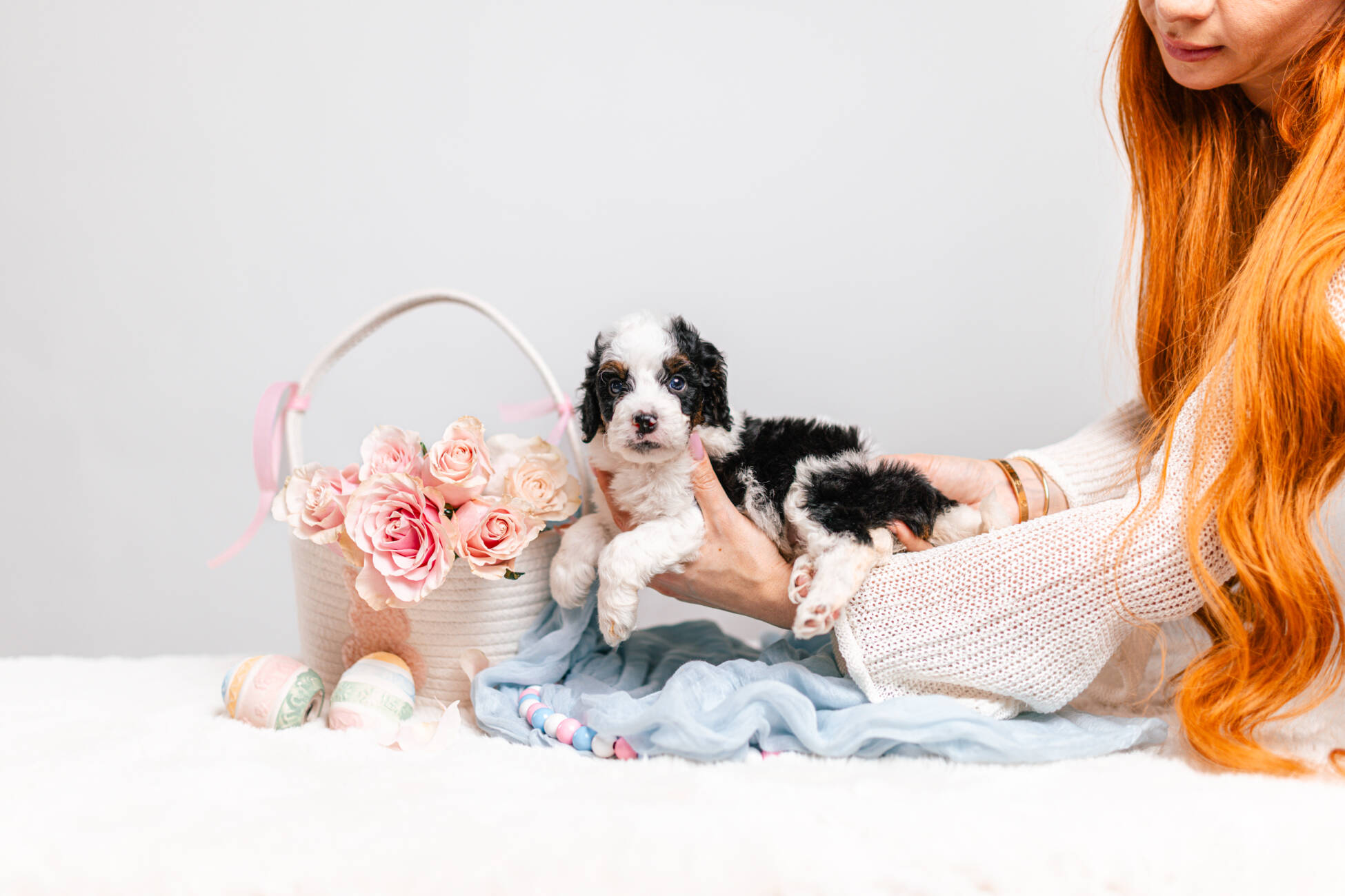 5litter 3g7069трикси 4