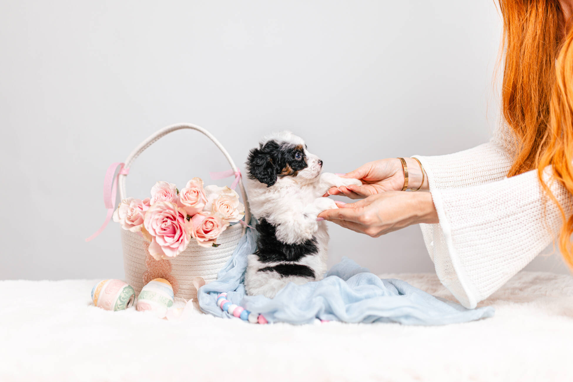 5litter 3g7069трикси 5