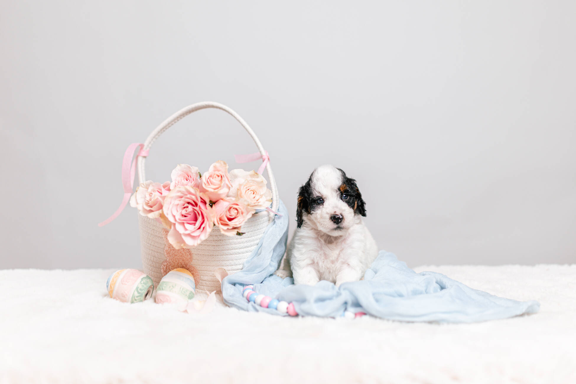 5litter 4g7070таффи 1