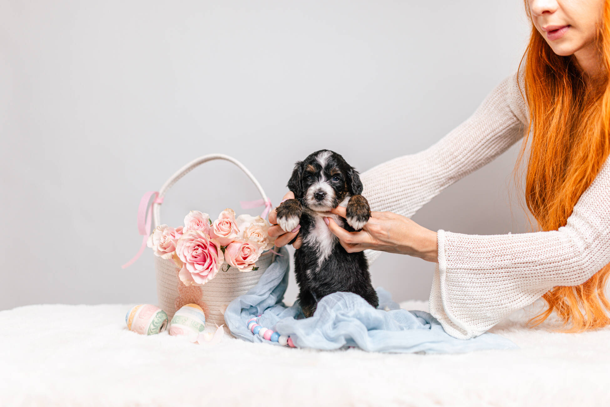 5litter 5В7205тедди 2